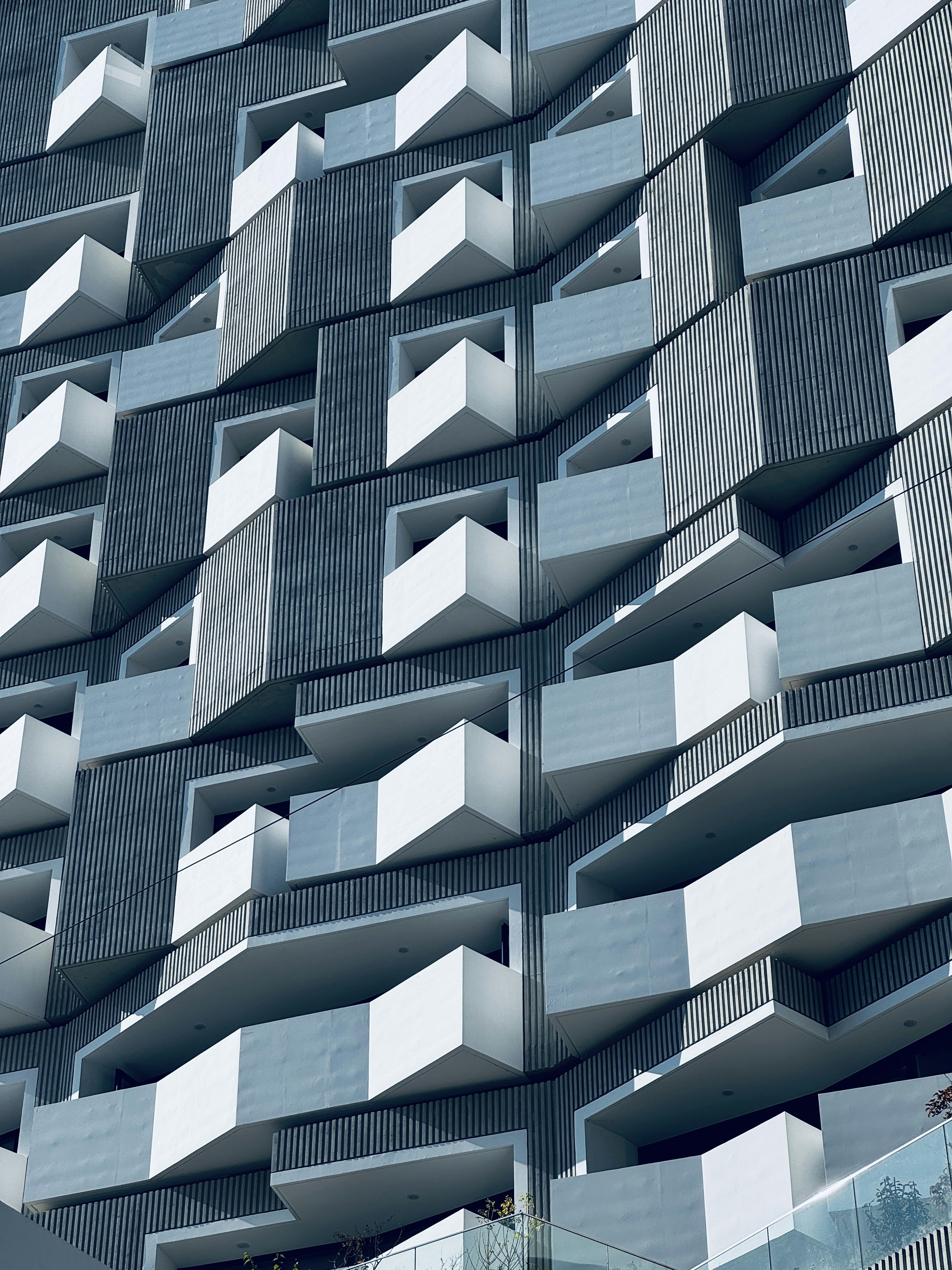 Photo by free_loader00