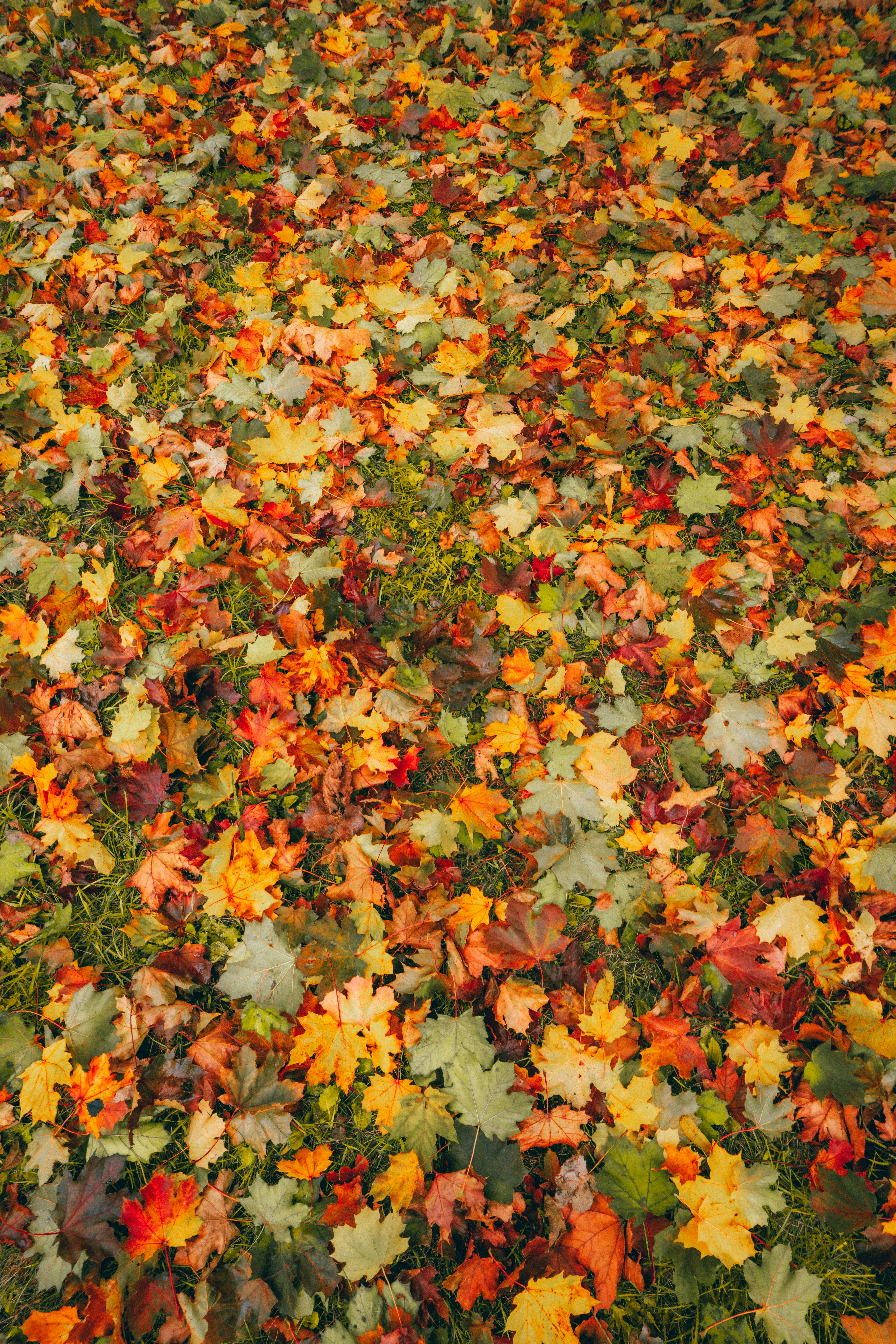 Photo by damiankravchuk