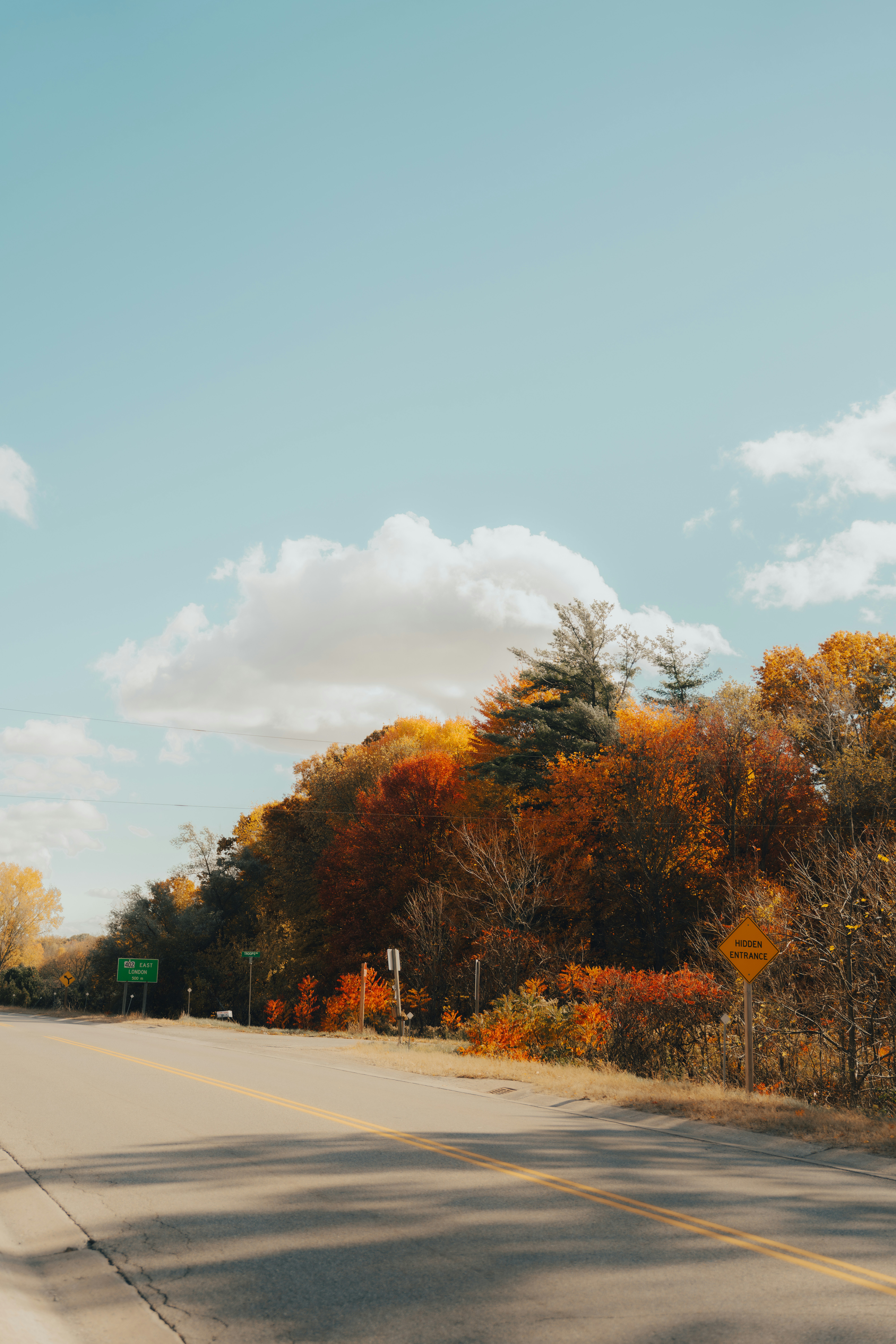 Photo by damiankravchuk