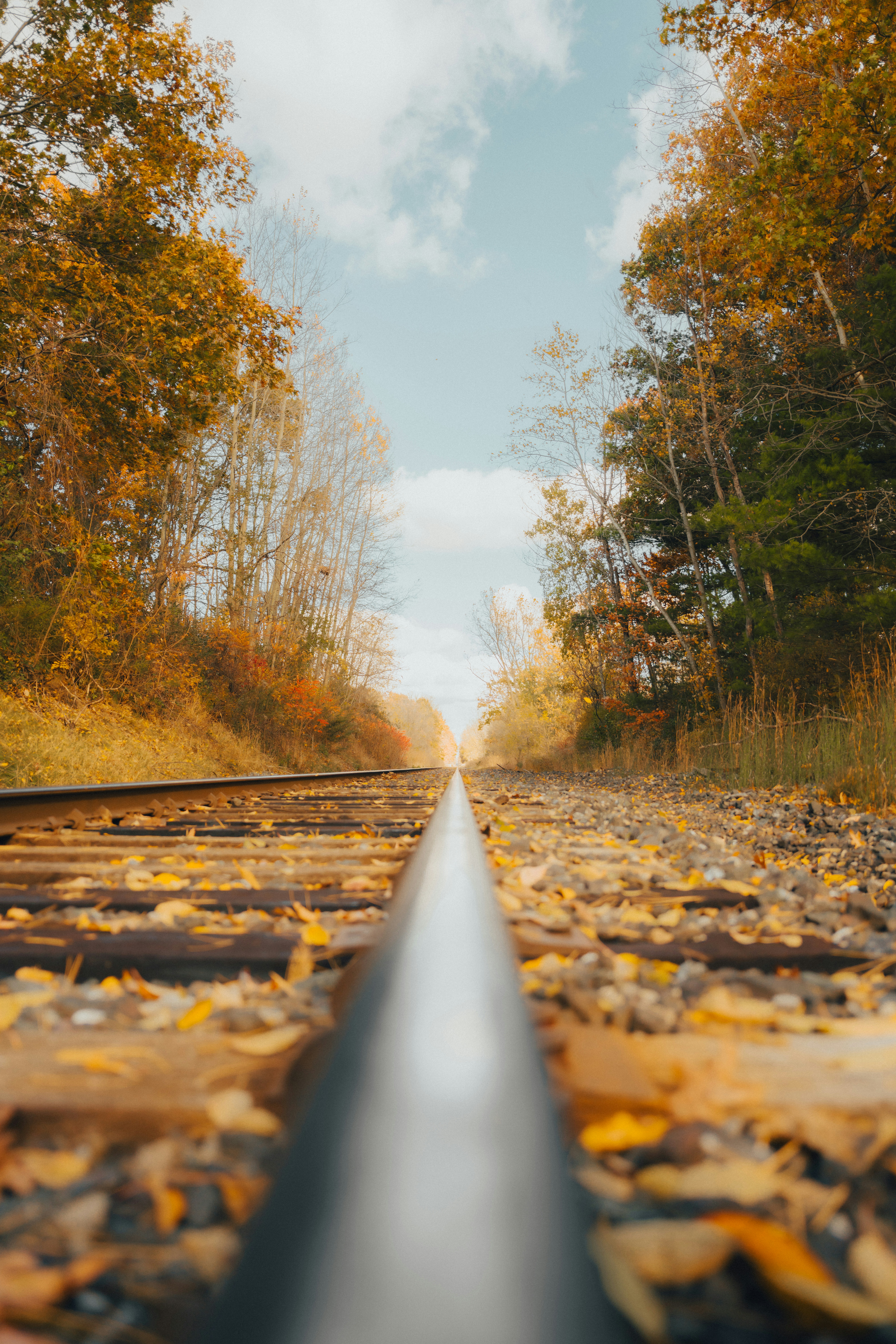 Photo by damiankravchuk