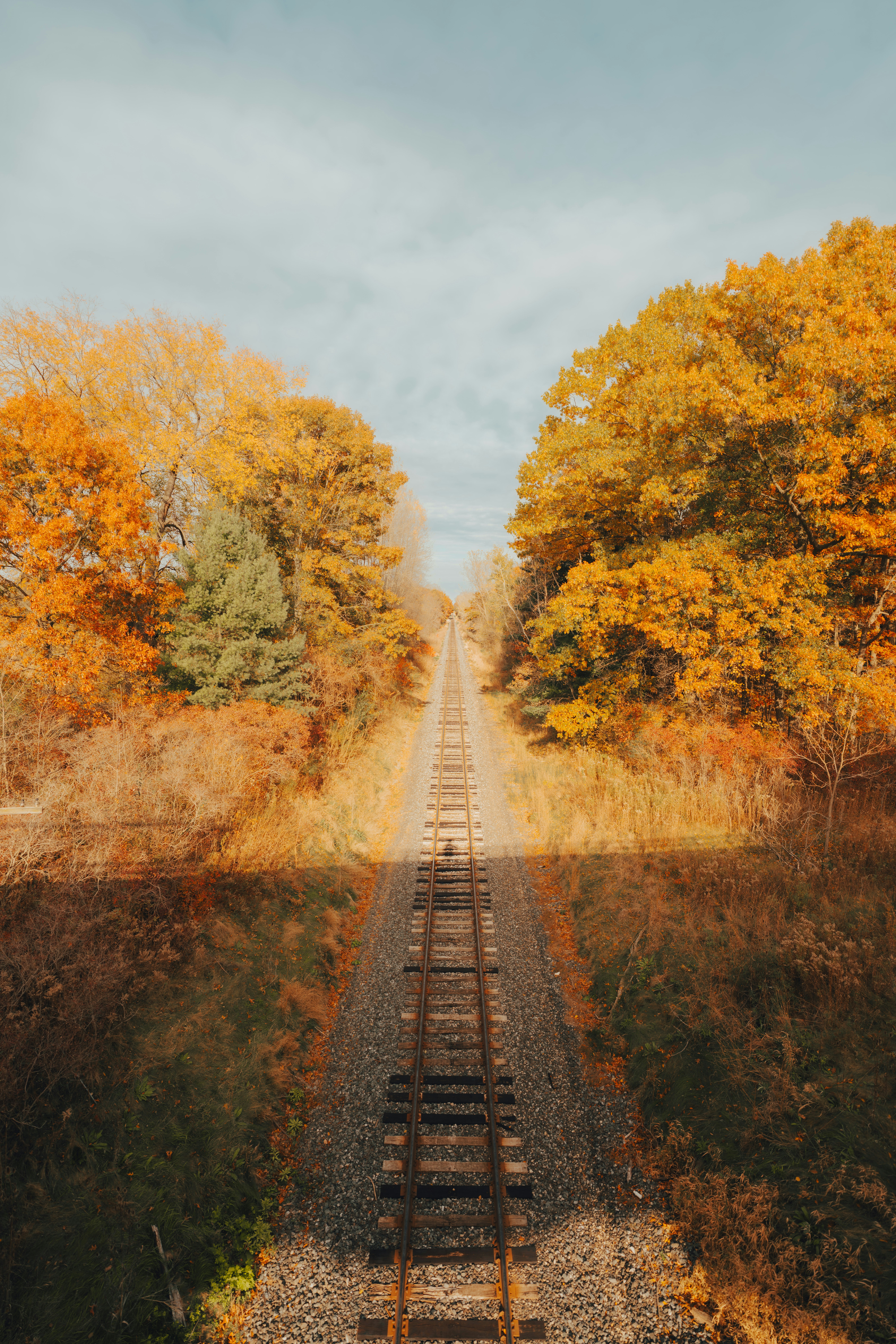 Photo by damiankravchuk