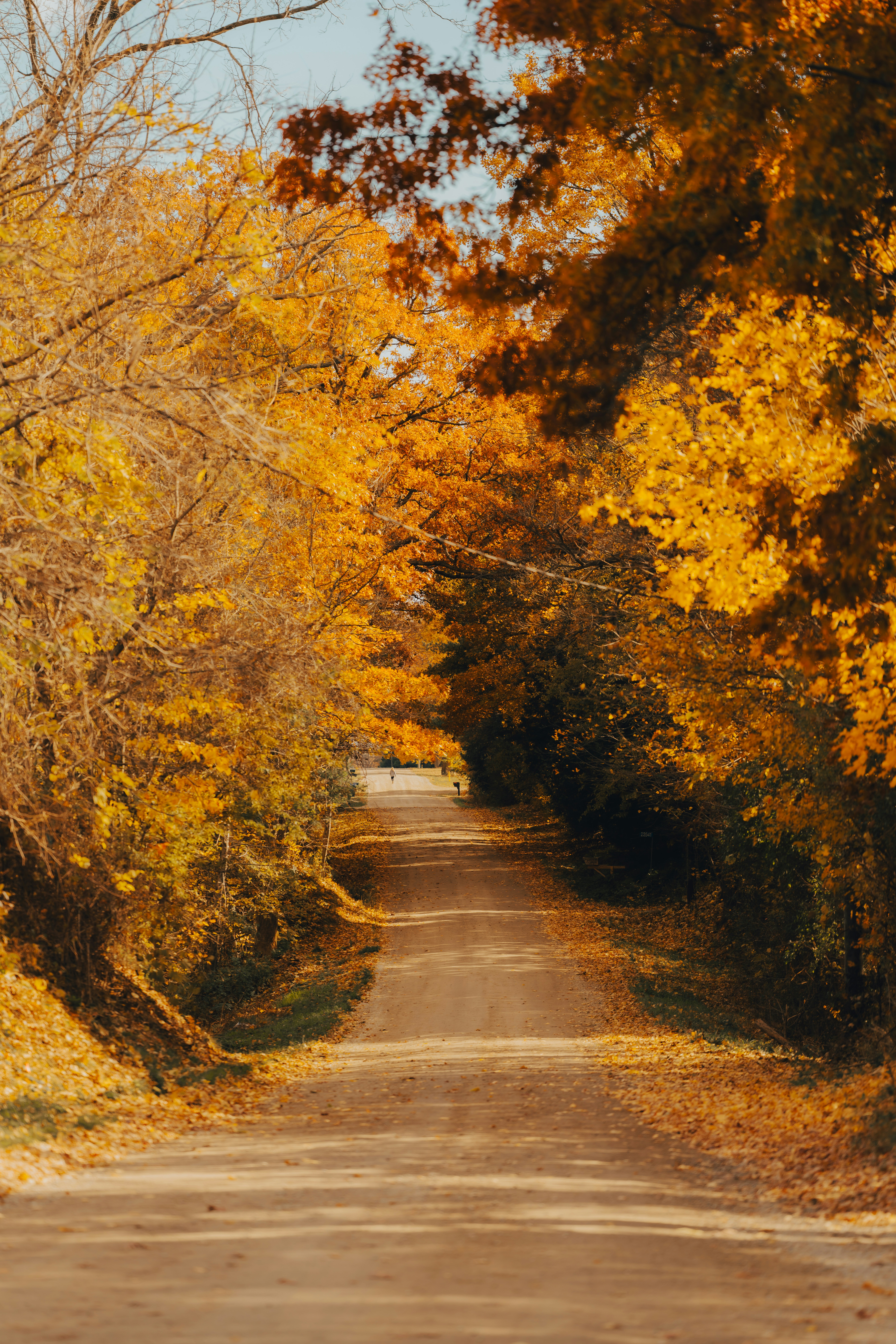 Photo by damiankravchuk