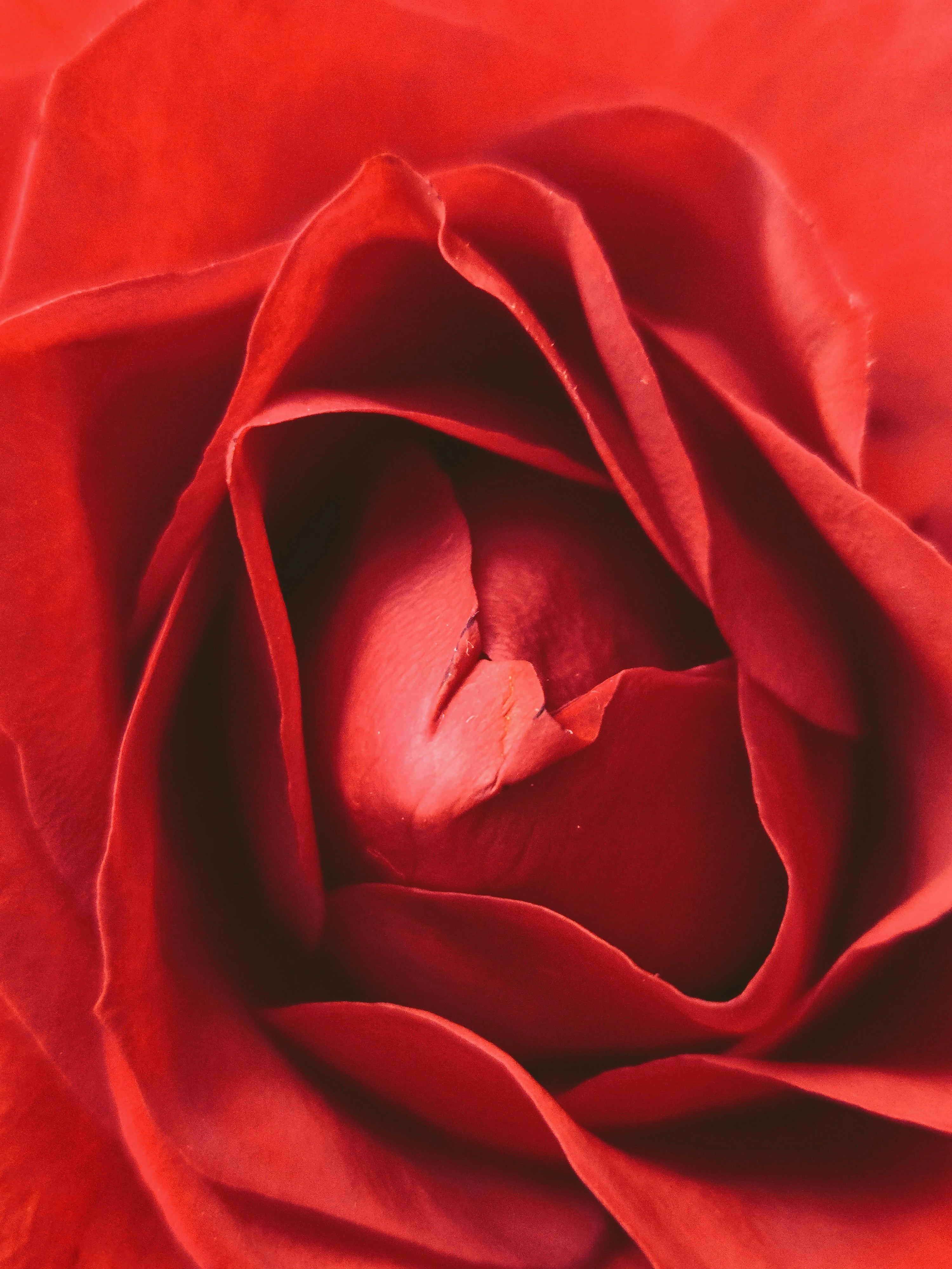 Yusra Mahmood (@kuloo) | Unsplash 사진 커뮤니티