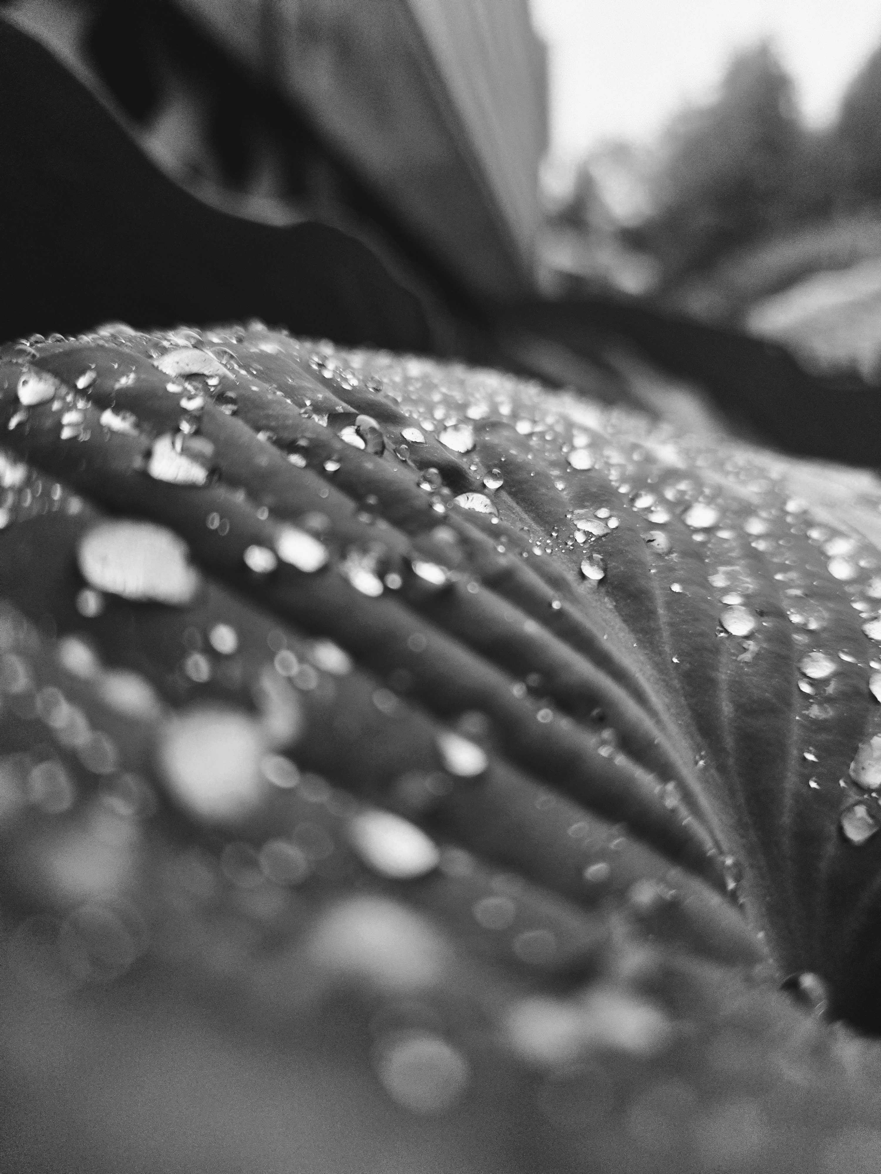 Yusra Mahmood (@kuloo) | Unsplash 사진 커뮤니티
