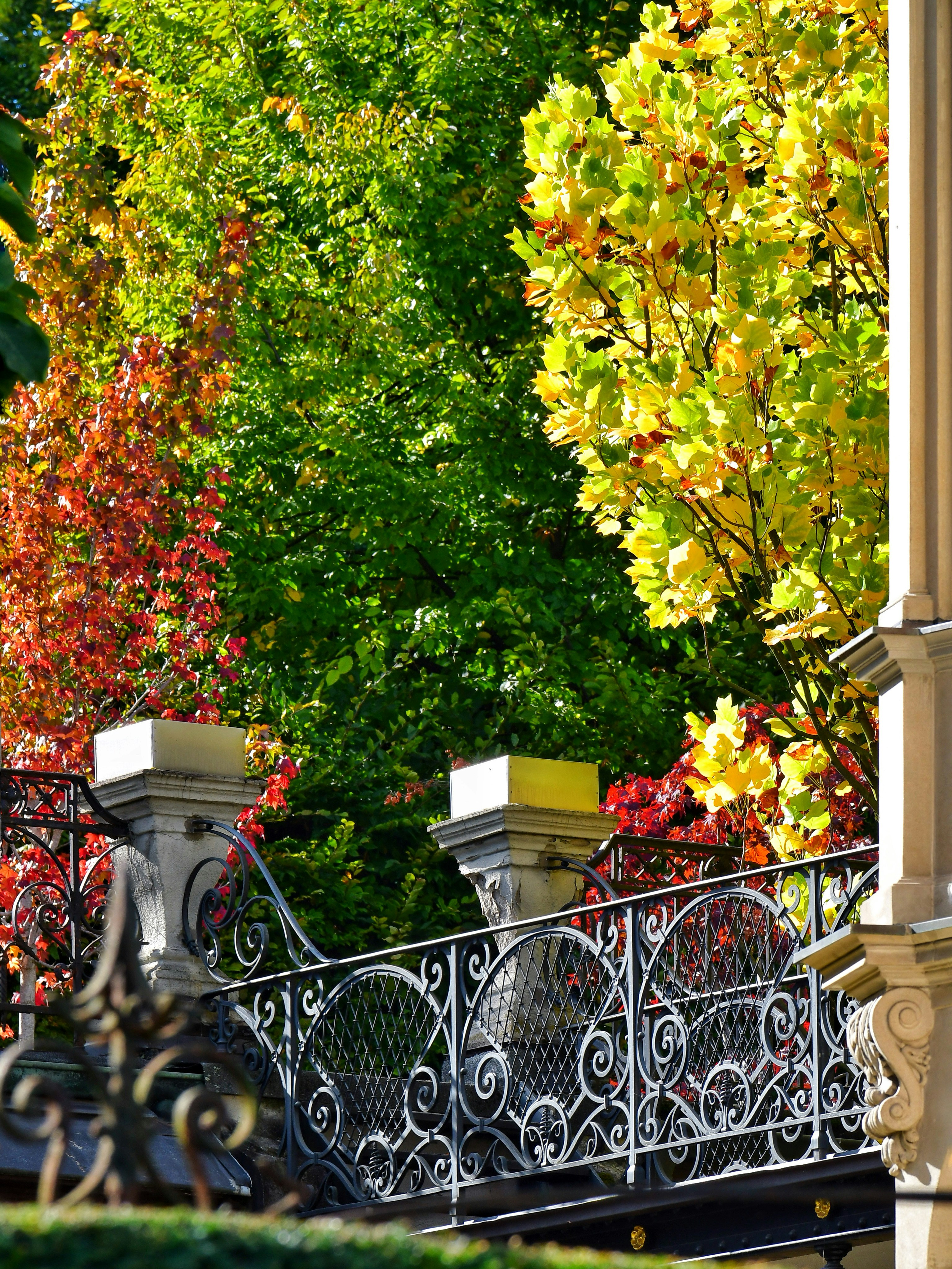 Photo by pedrino5_official