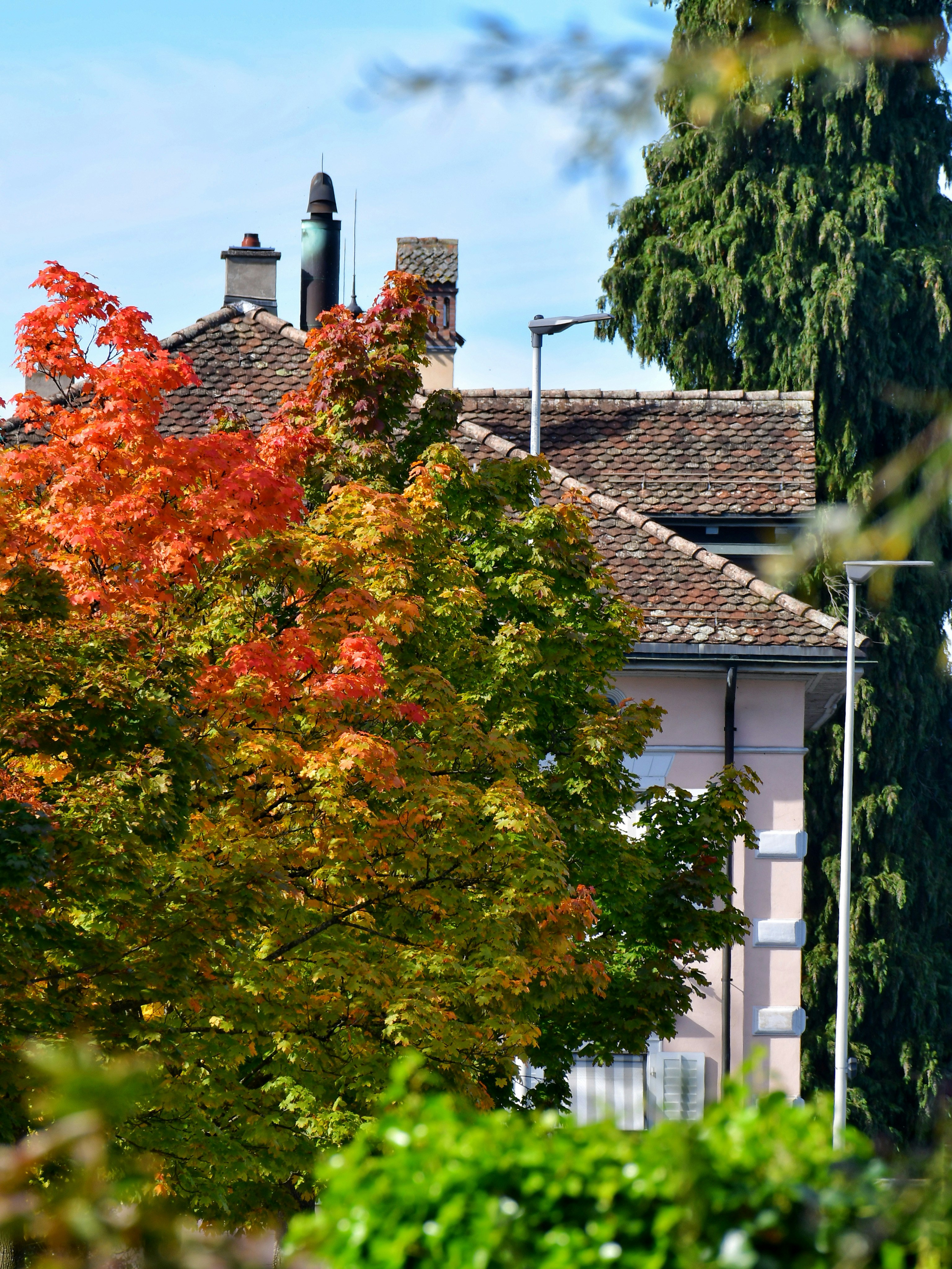 Photo by pedrino5_official