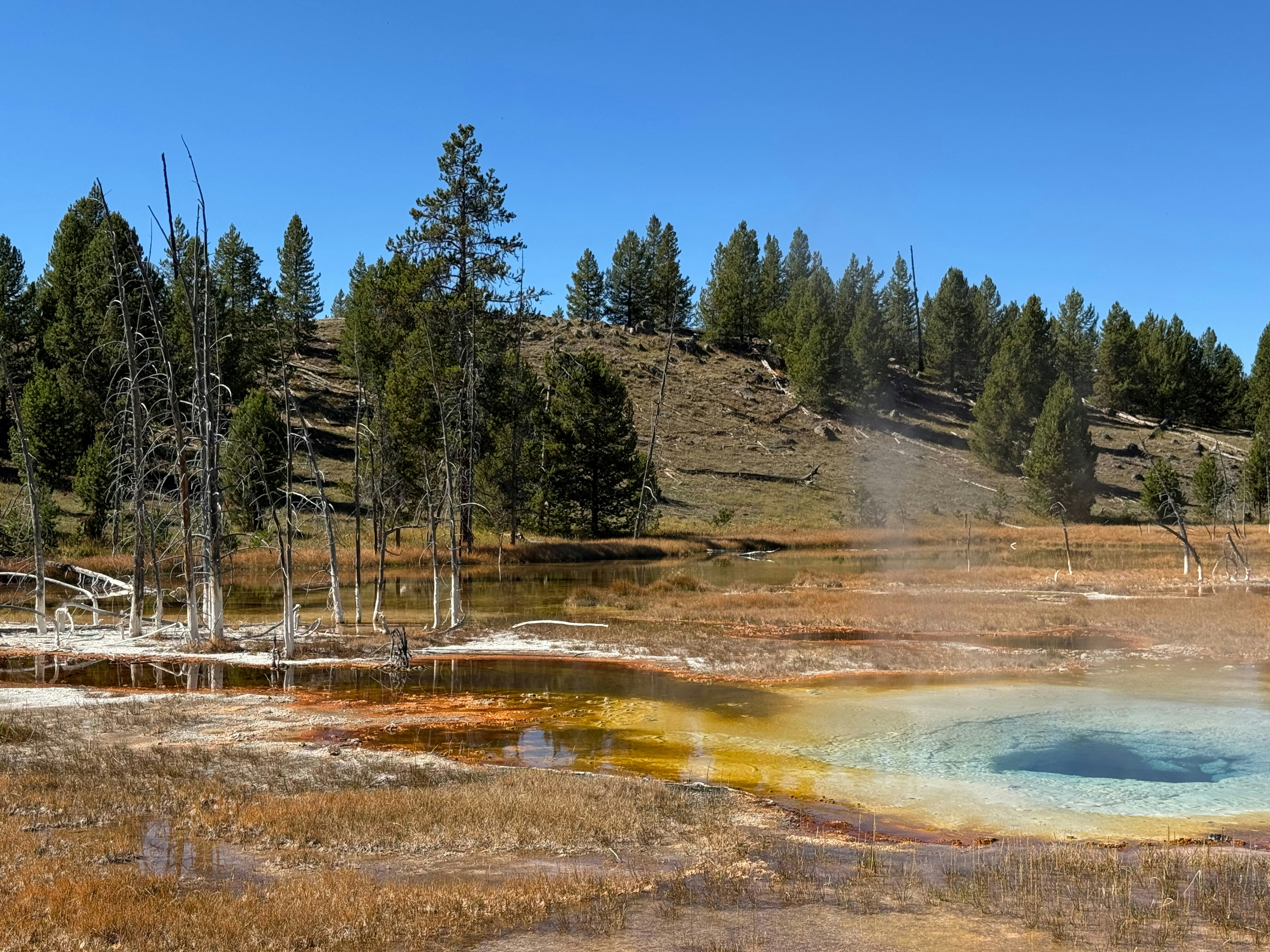 Photo by vegie_photo