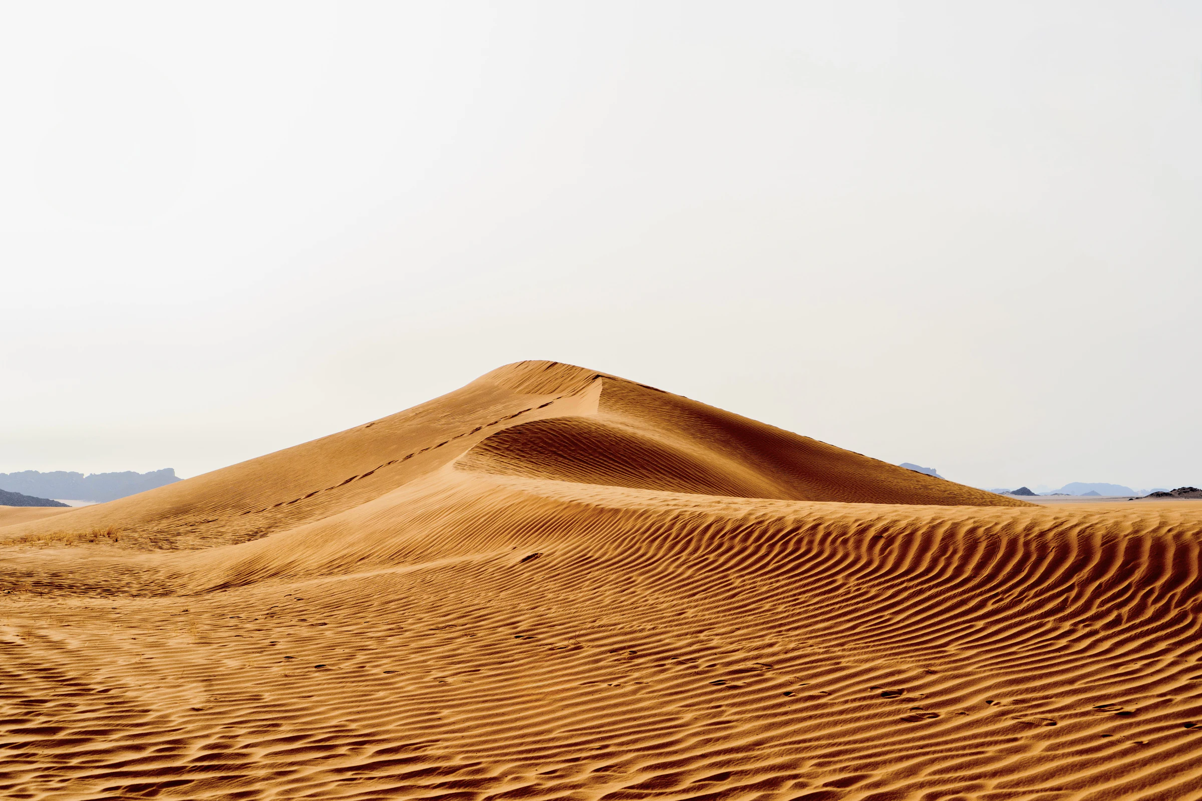 Dunes dorées du Sahara