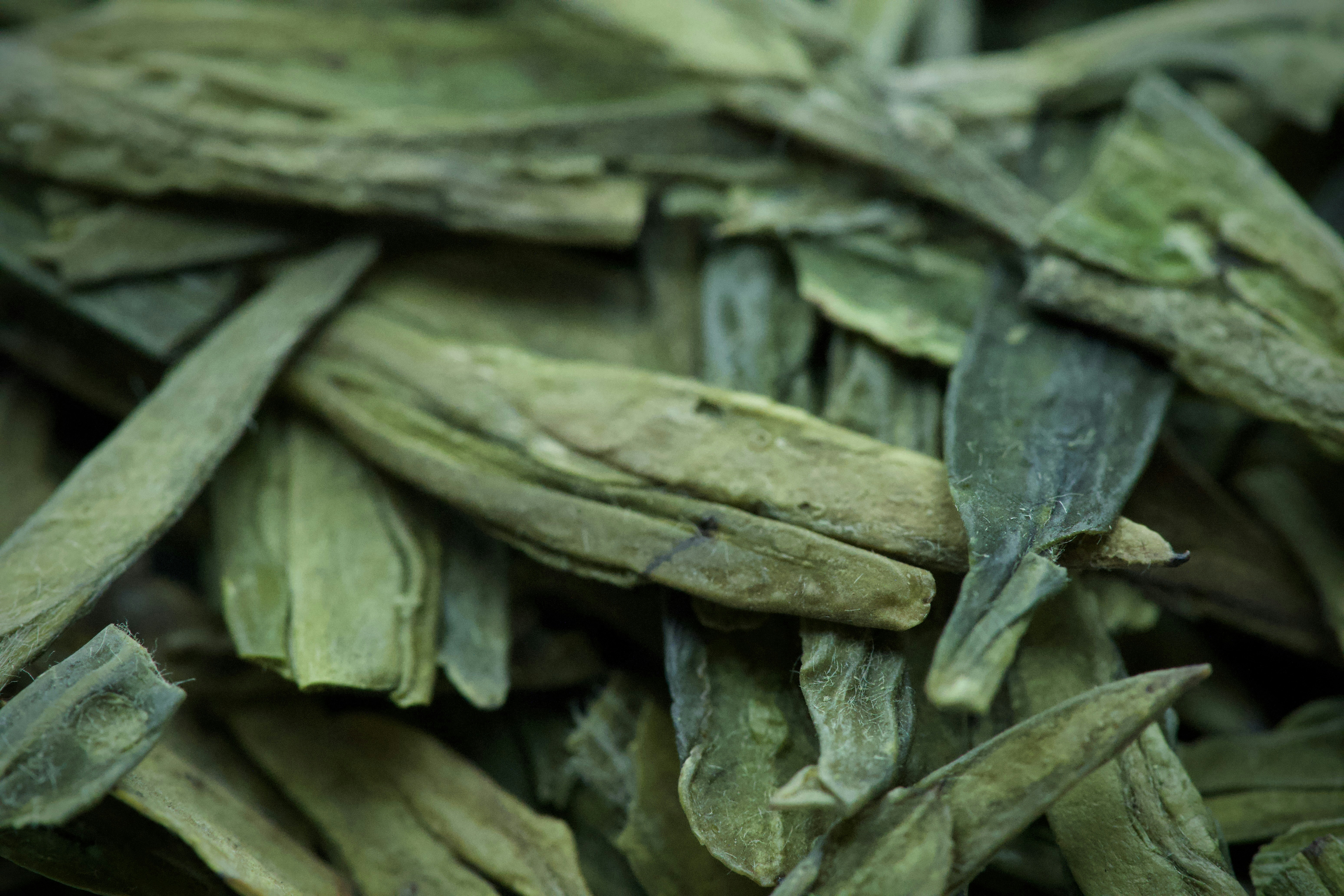 Dried green tea leaves in a close-up view