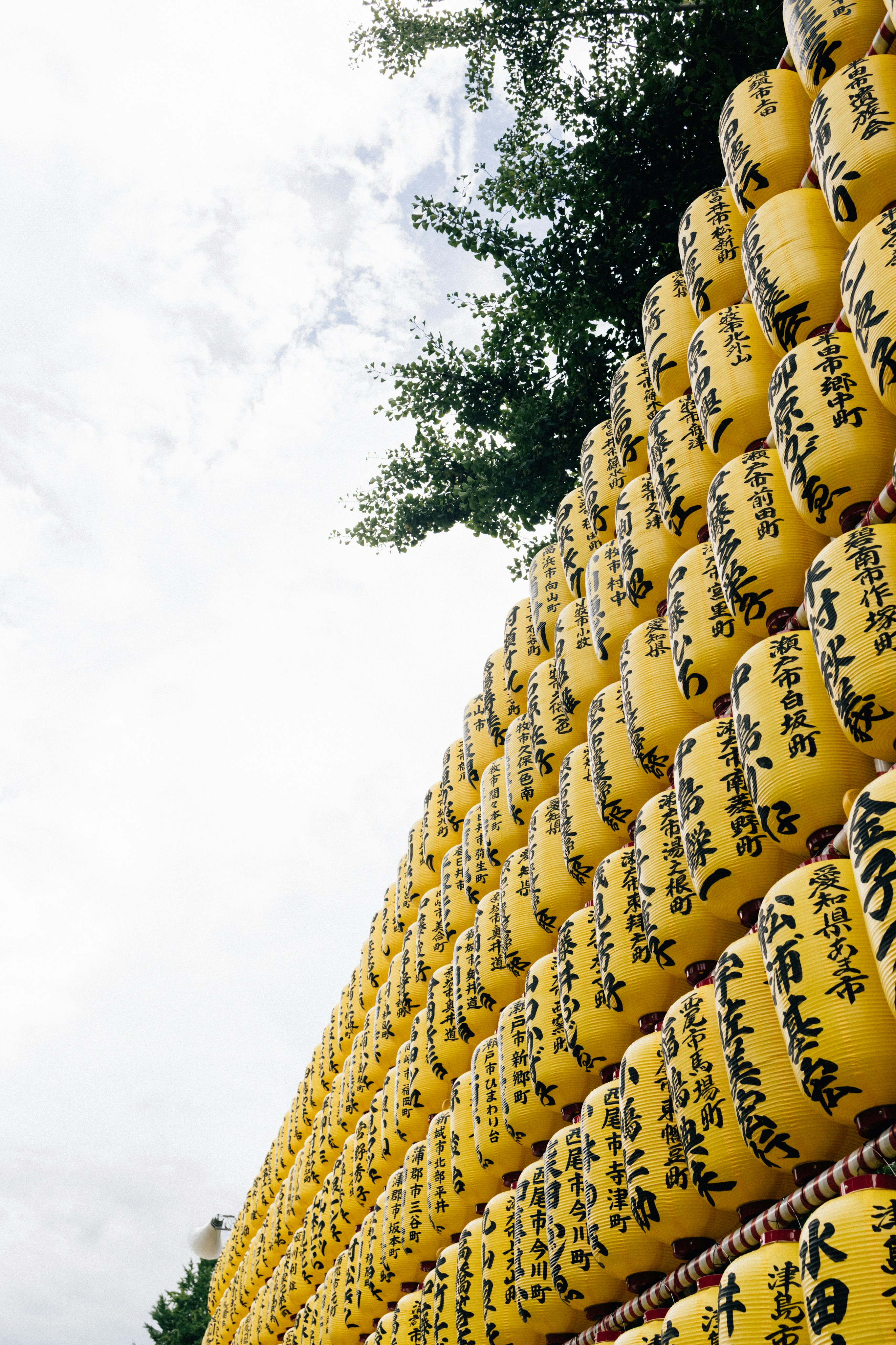 Photo by tsuyoshikozu