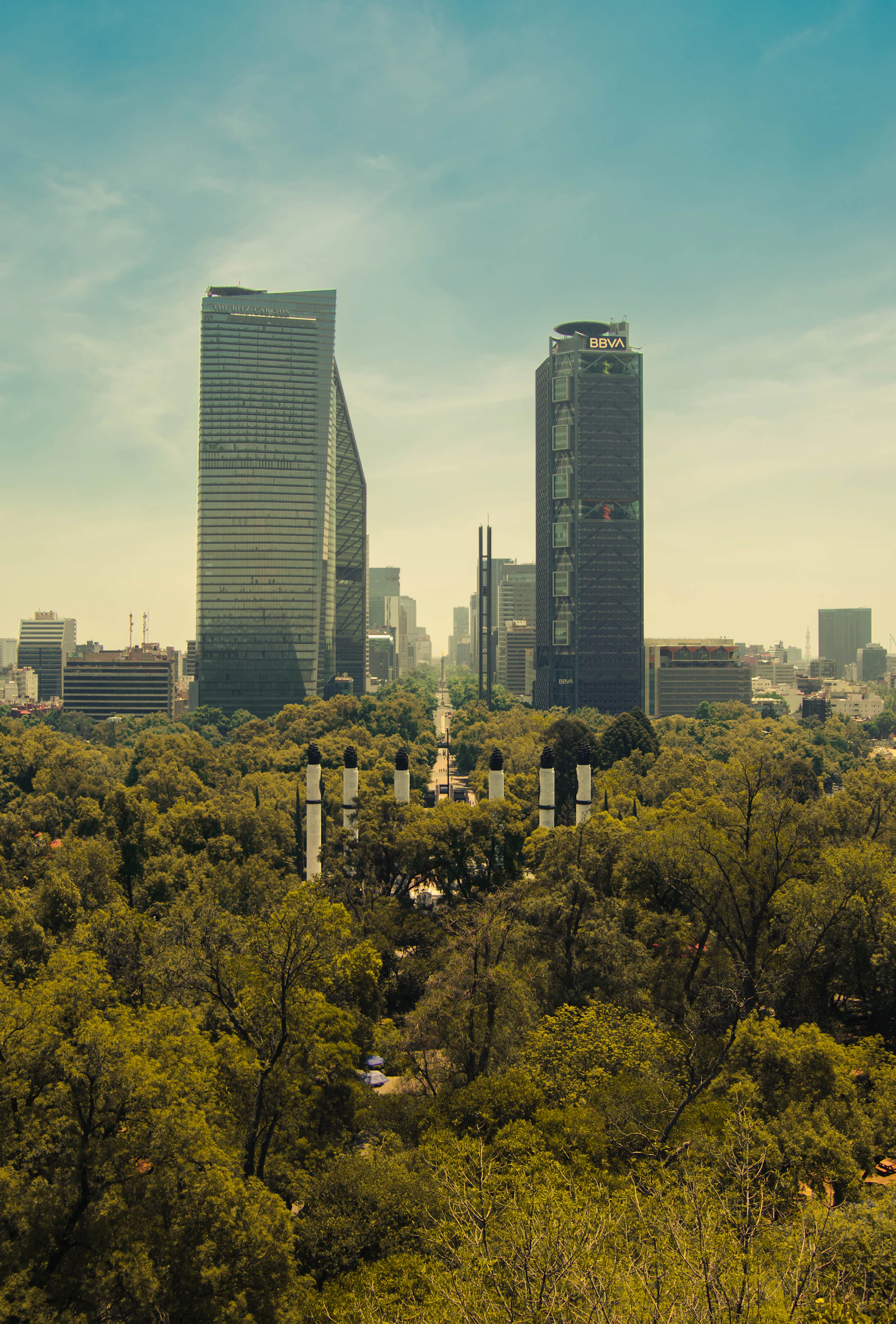 Modern skyscrapers rising above the green canopy of Chapultepec forest in Mexico City