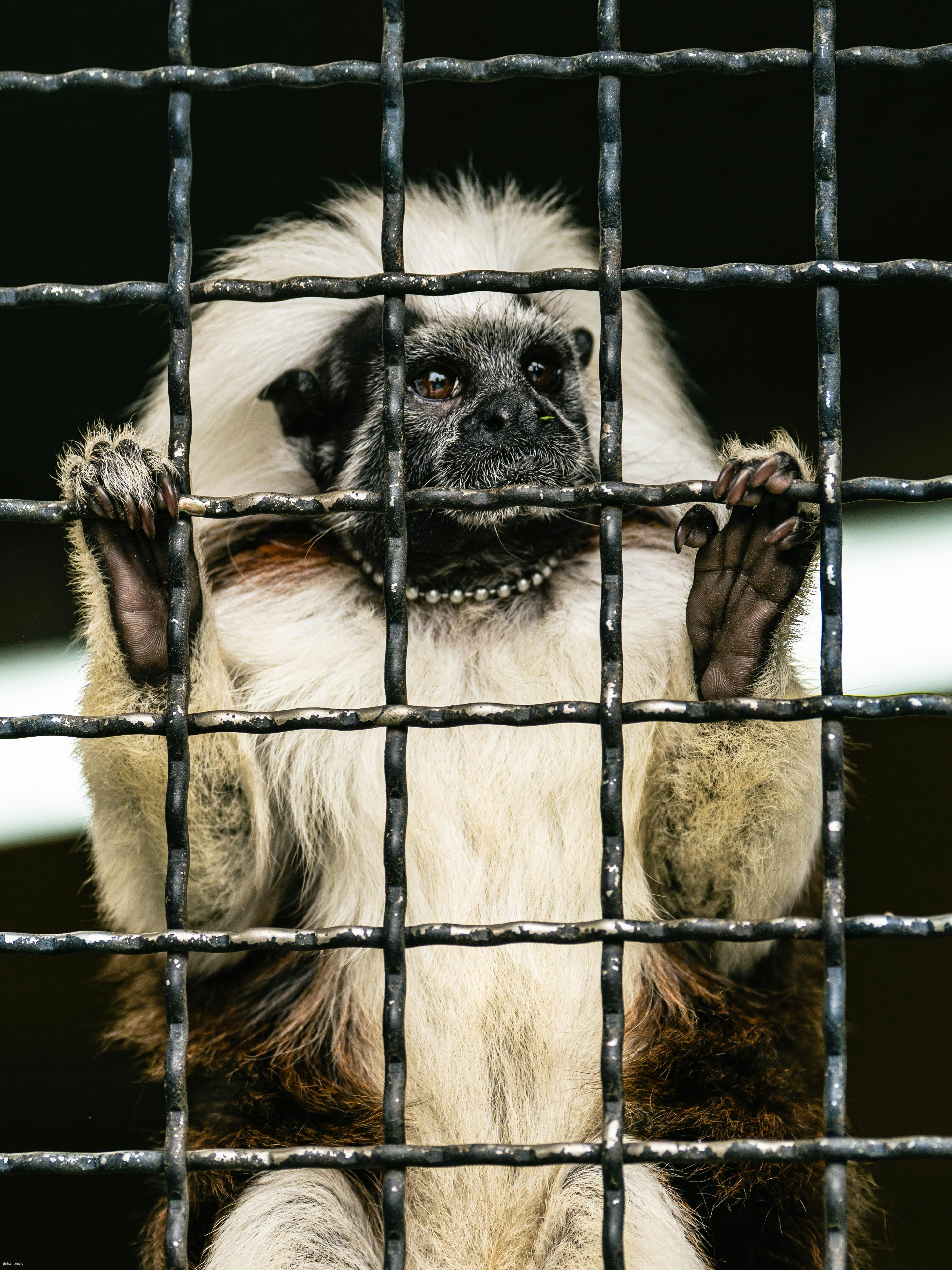 Photo by jinhan_photo