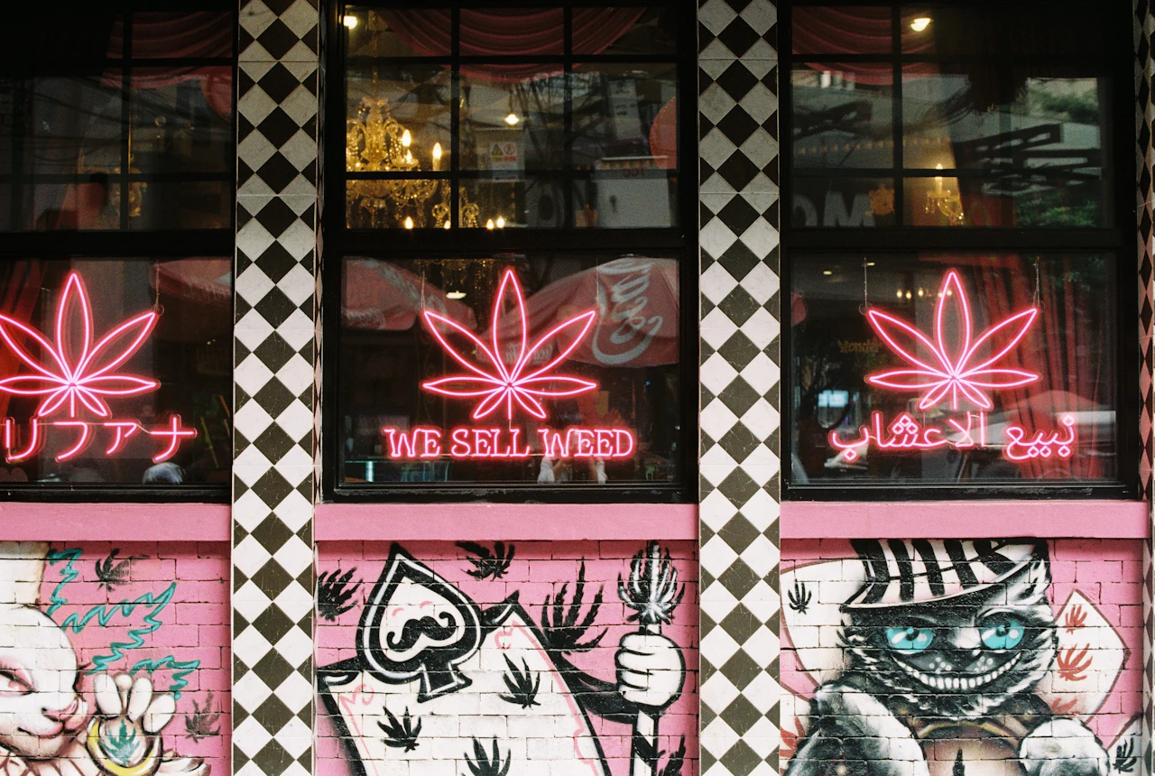 Neon cannabis signage on a dispensary storefront at night, the local presence that reviews and search prominence drive traffic to
