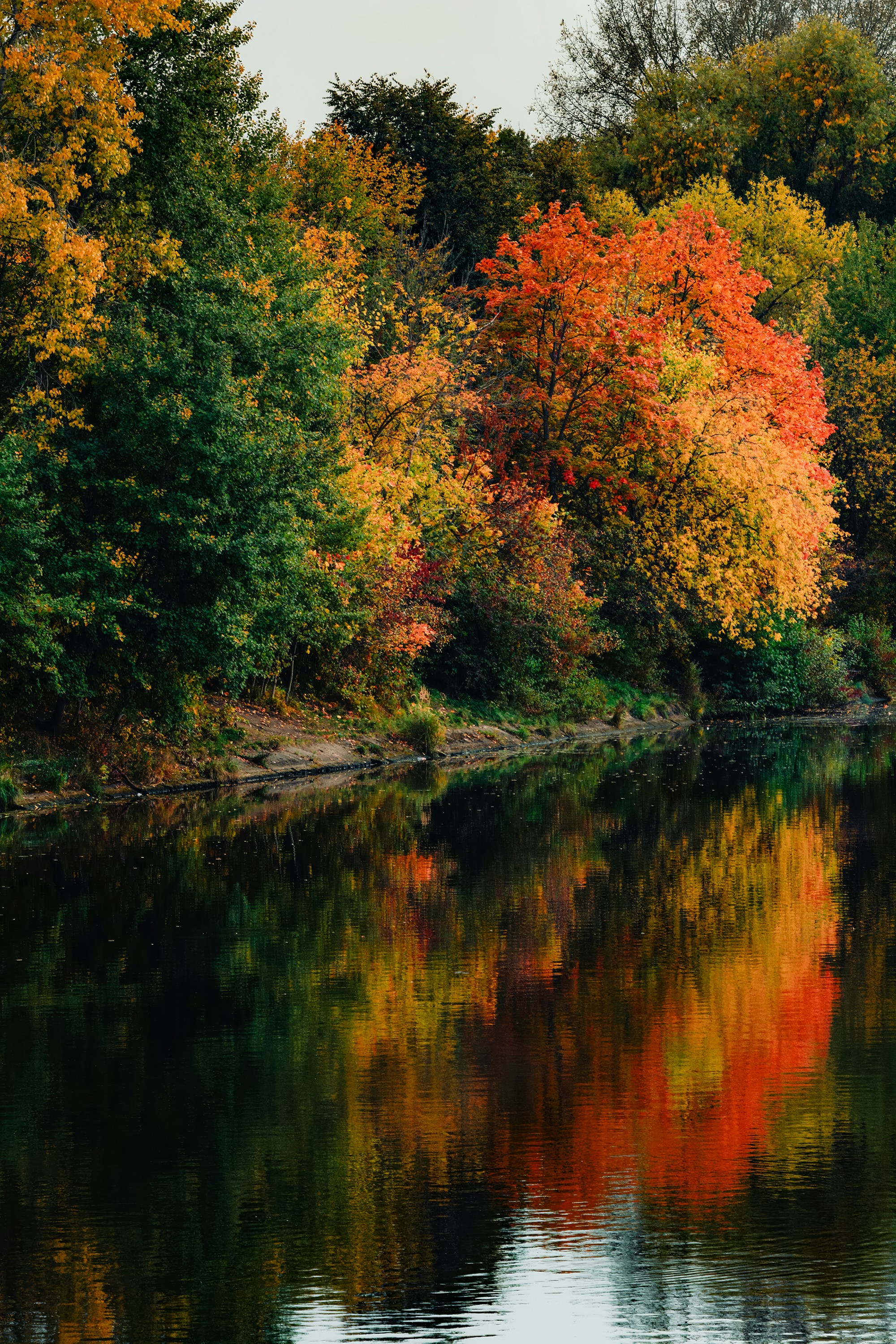 Photo by spacelistener