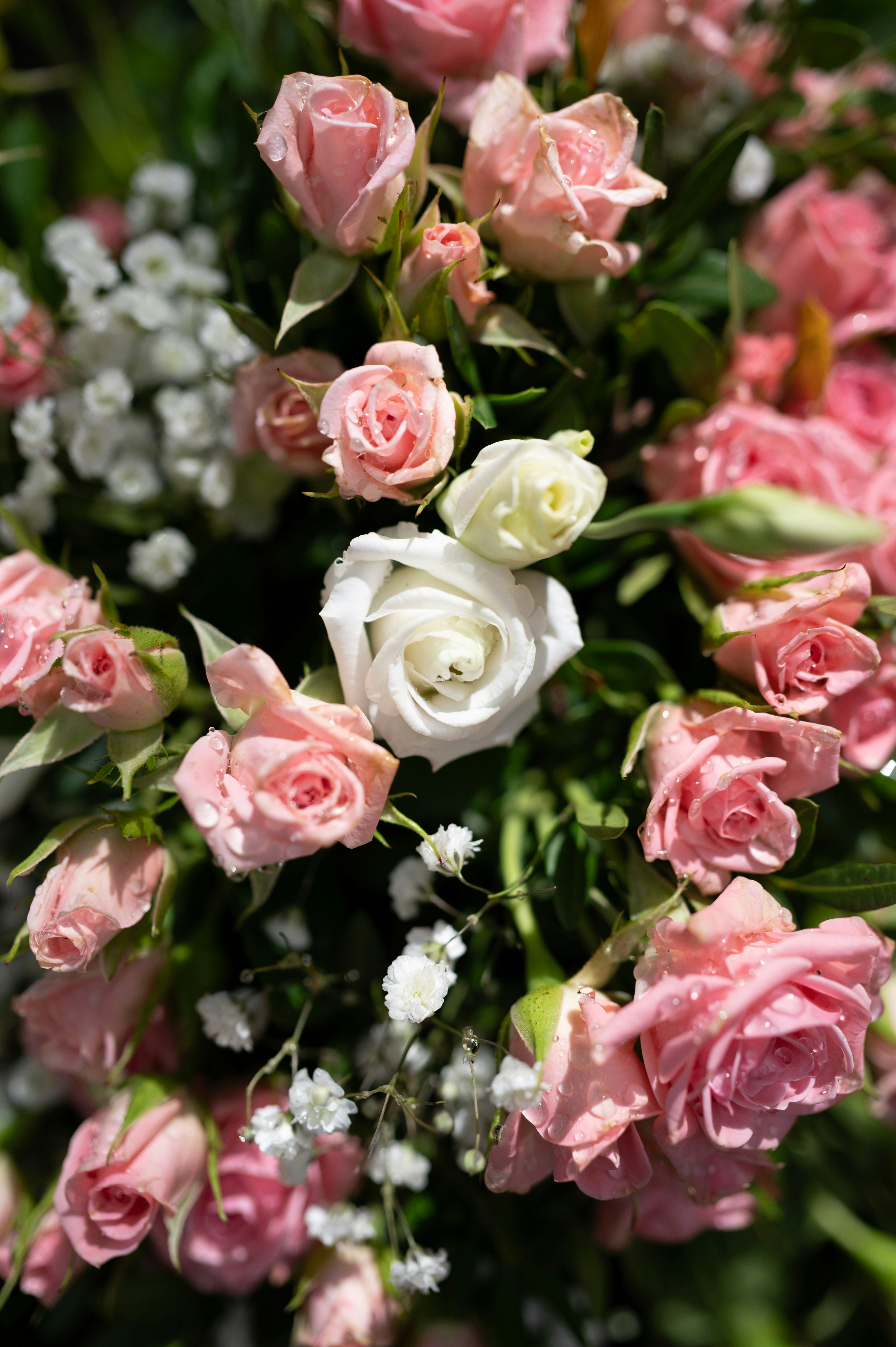 Photo by luca_severin