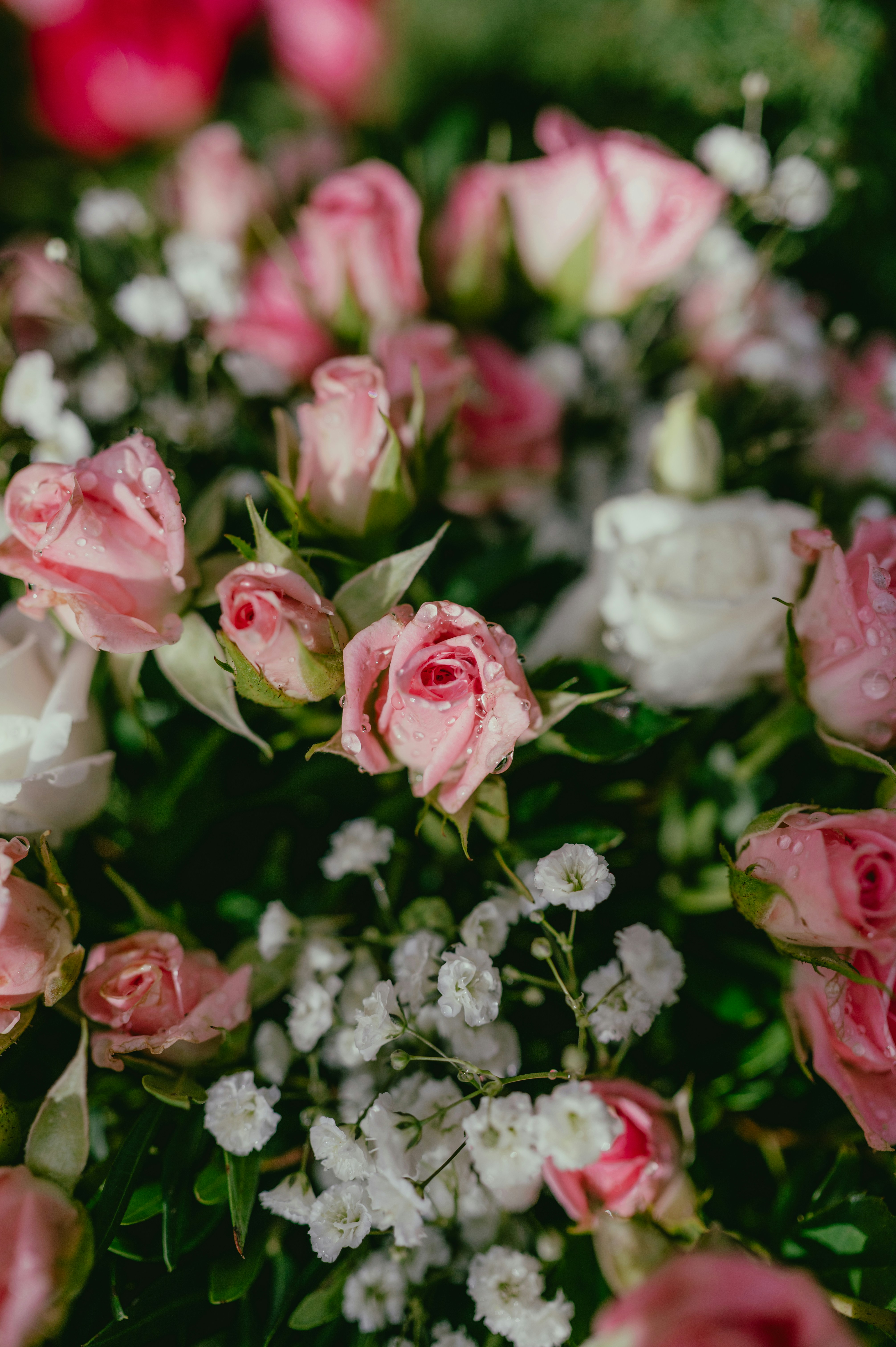 Photo by luca_severin