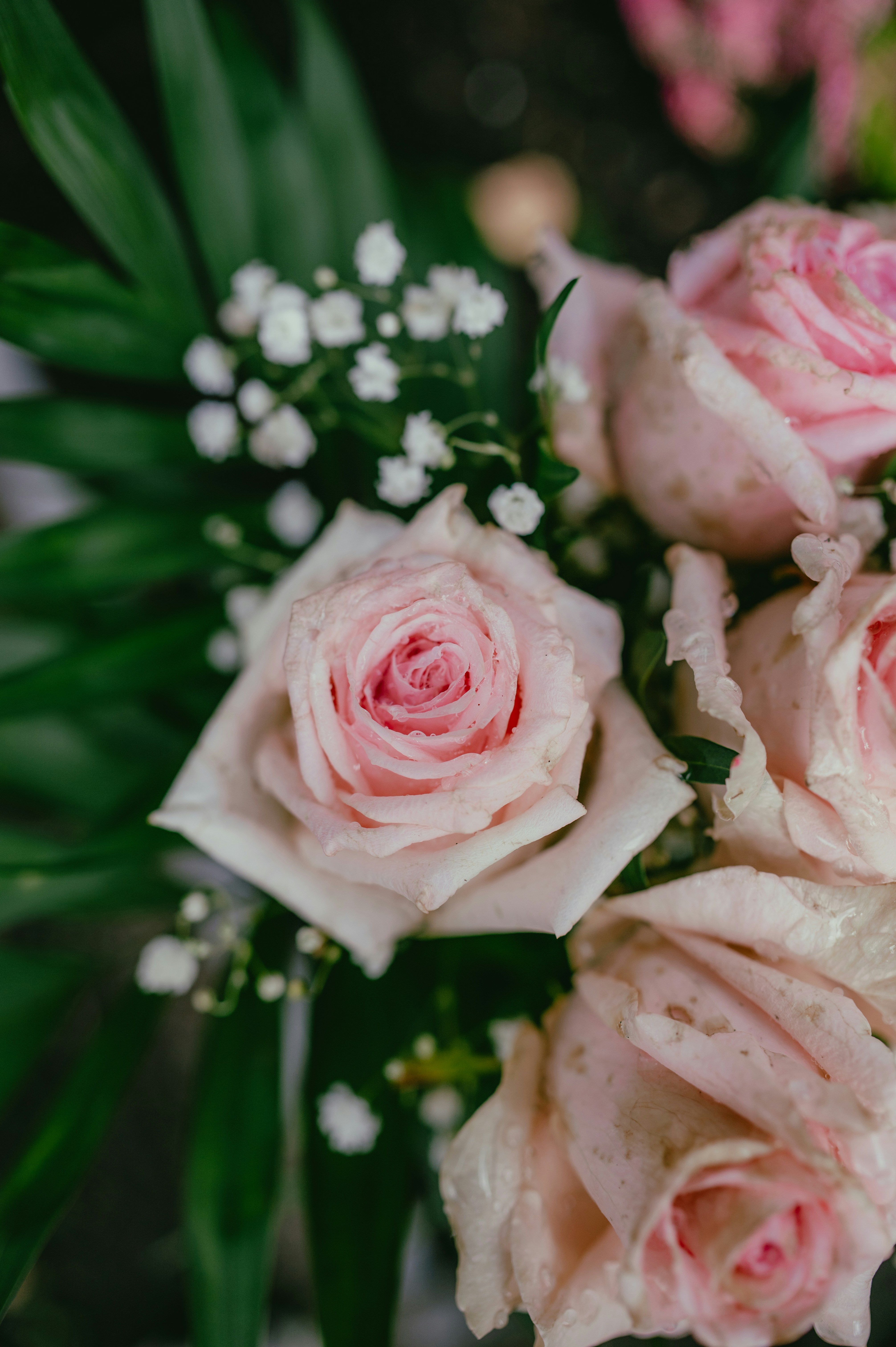 Photo by luca_severin