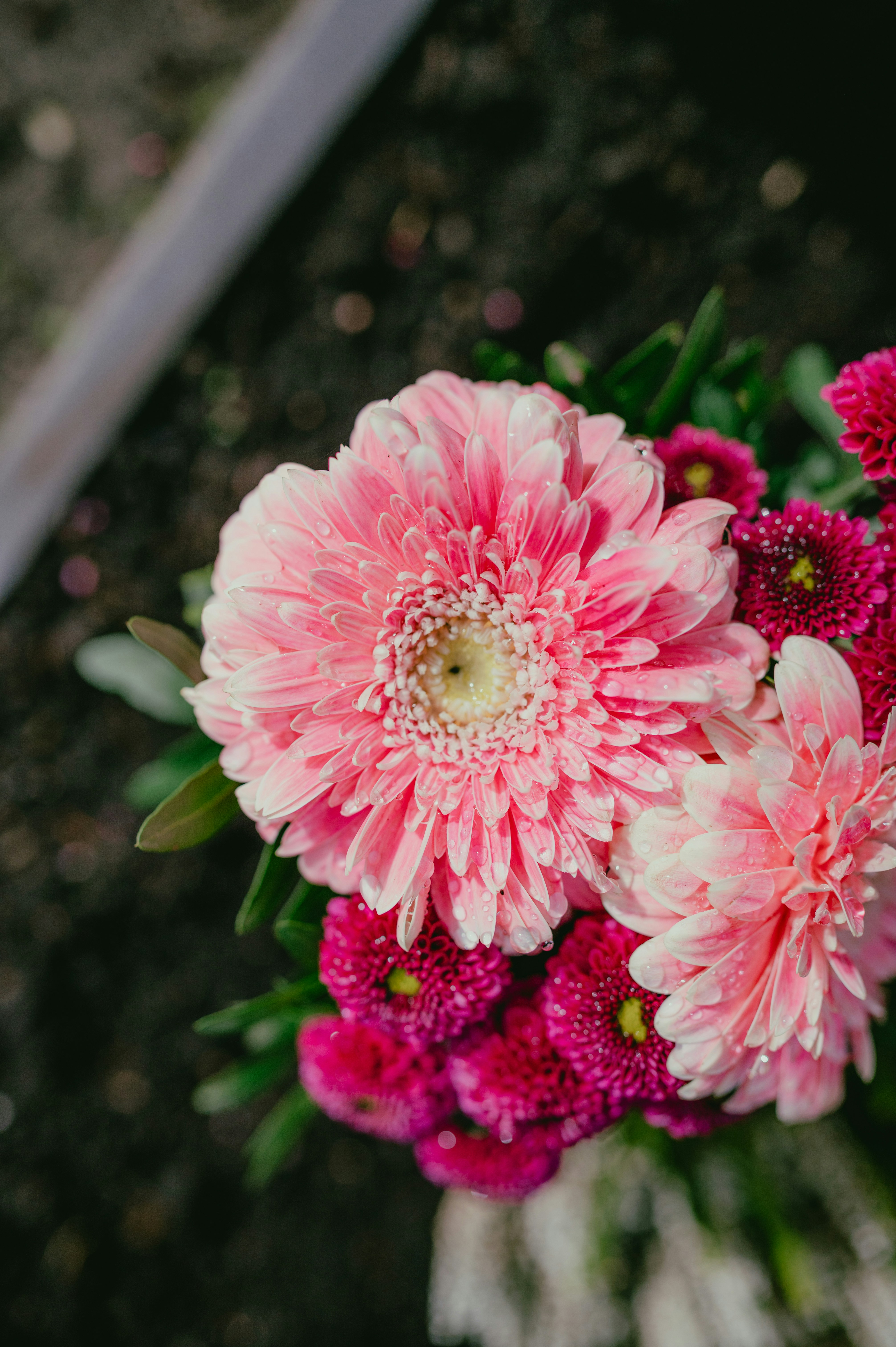 Photo by luca_severin