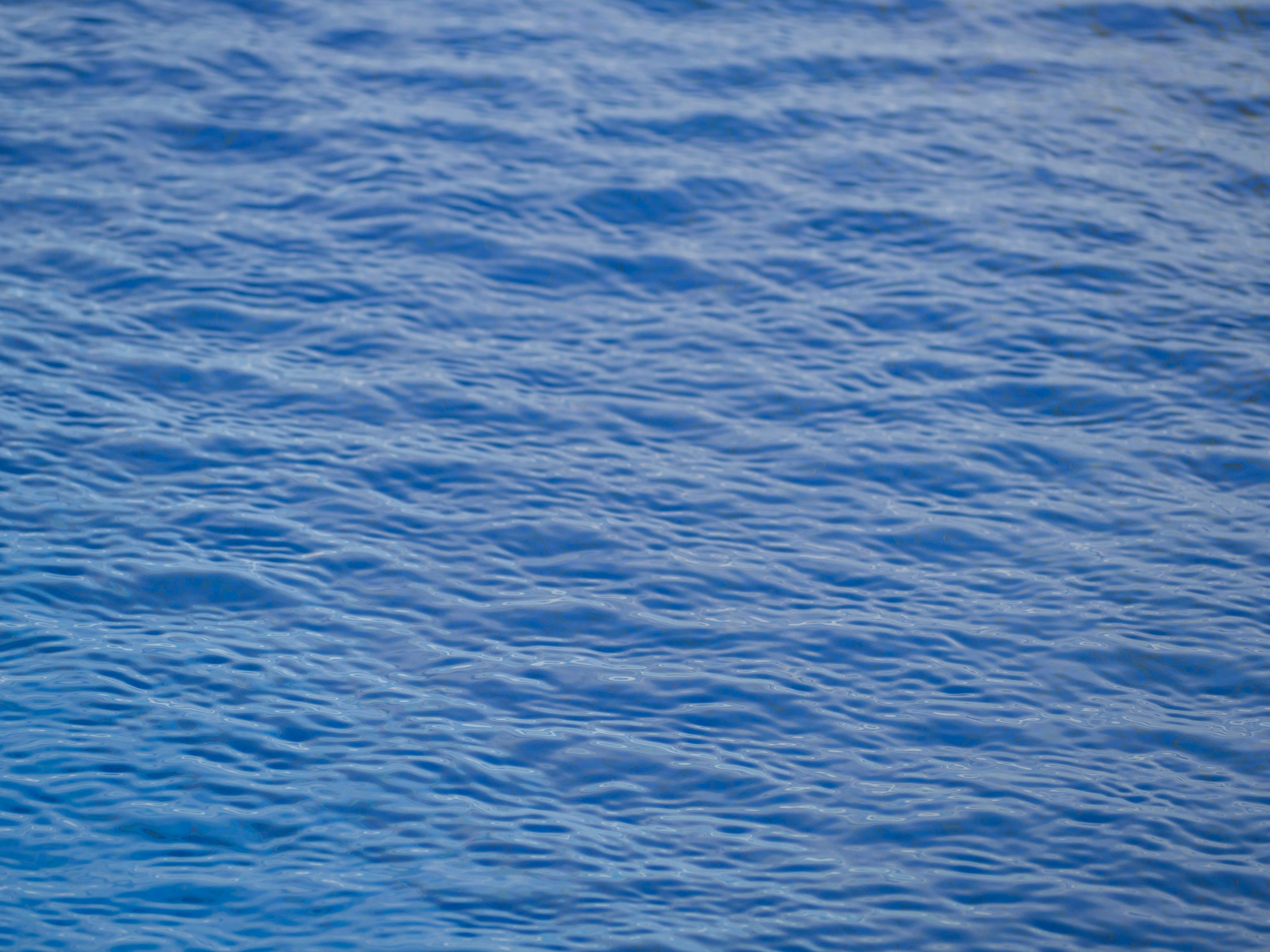 Photo by siriusharrison