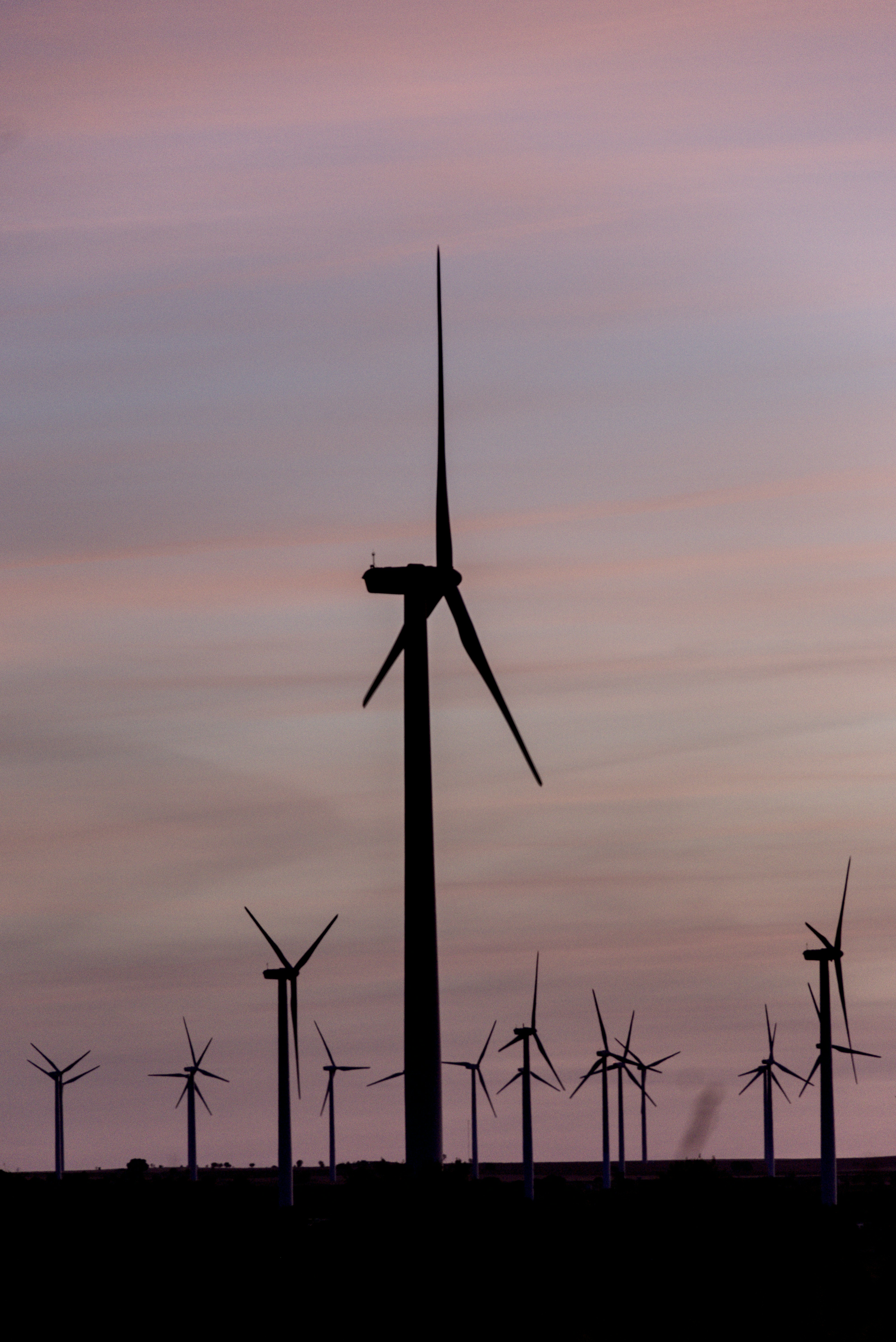 Las turbinas eólicas se recortaban contra un cielo pastel al atardecer.