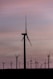 Wind turbines silhouetted against a pastel sunset sky.