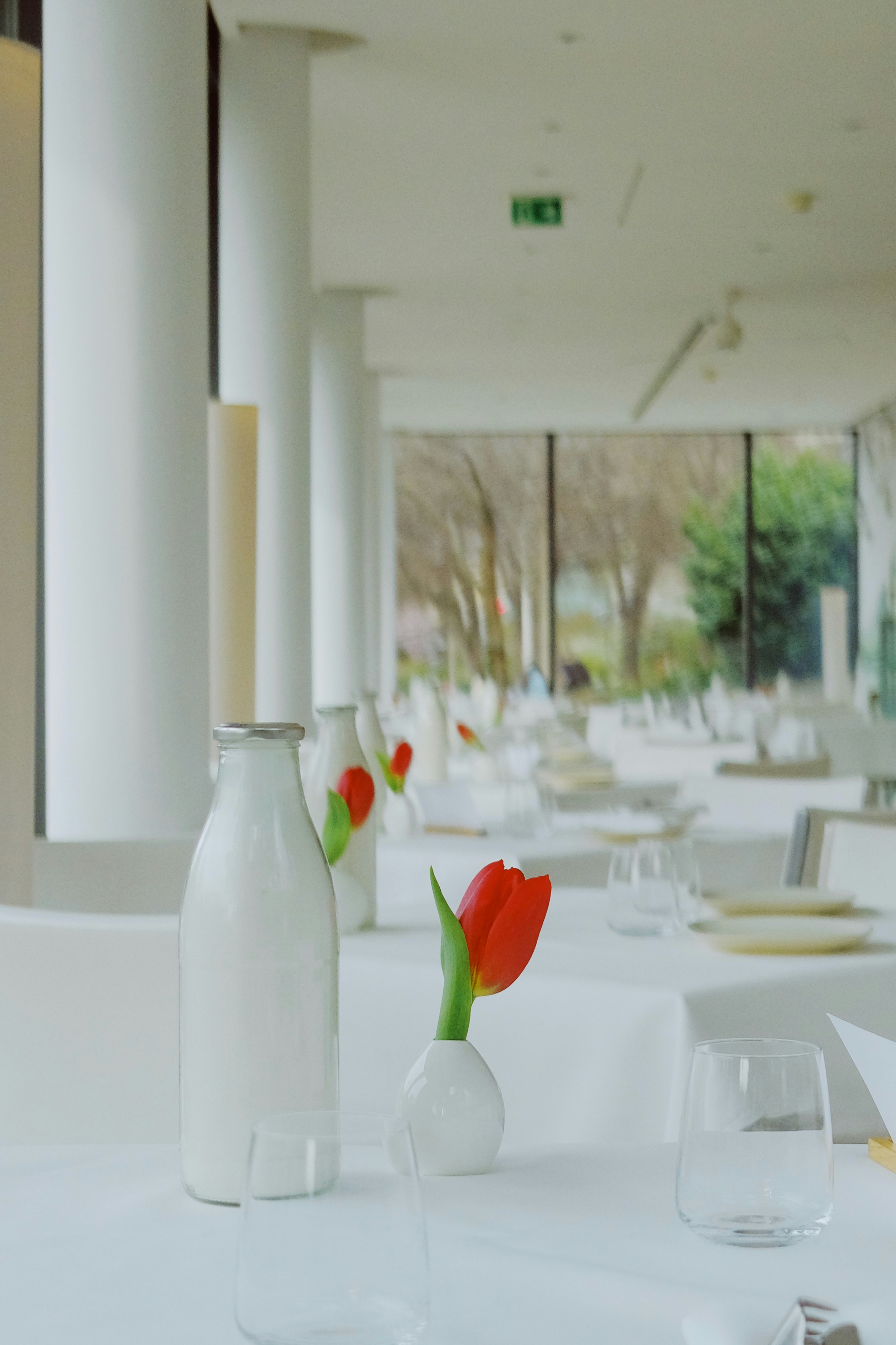 scandinavian dining room, wallpaper, Scandinavian Dining Room Color Schemes 4