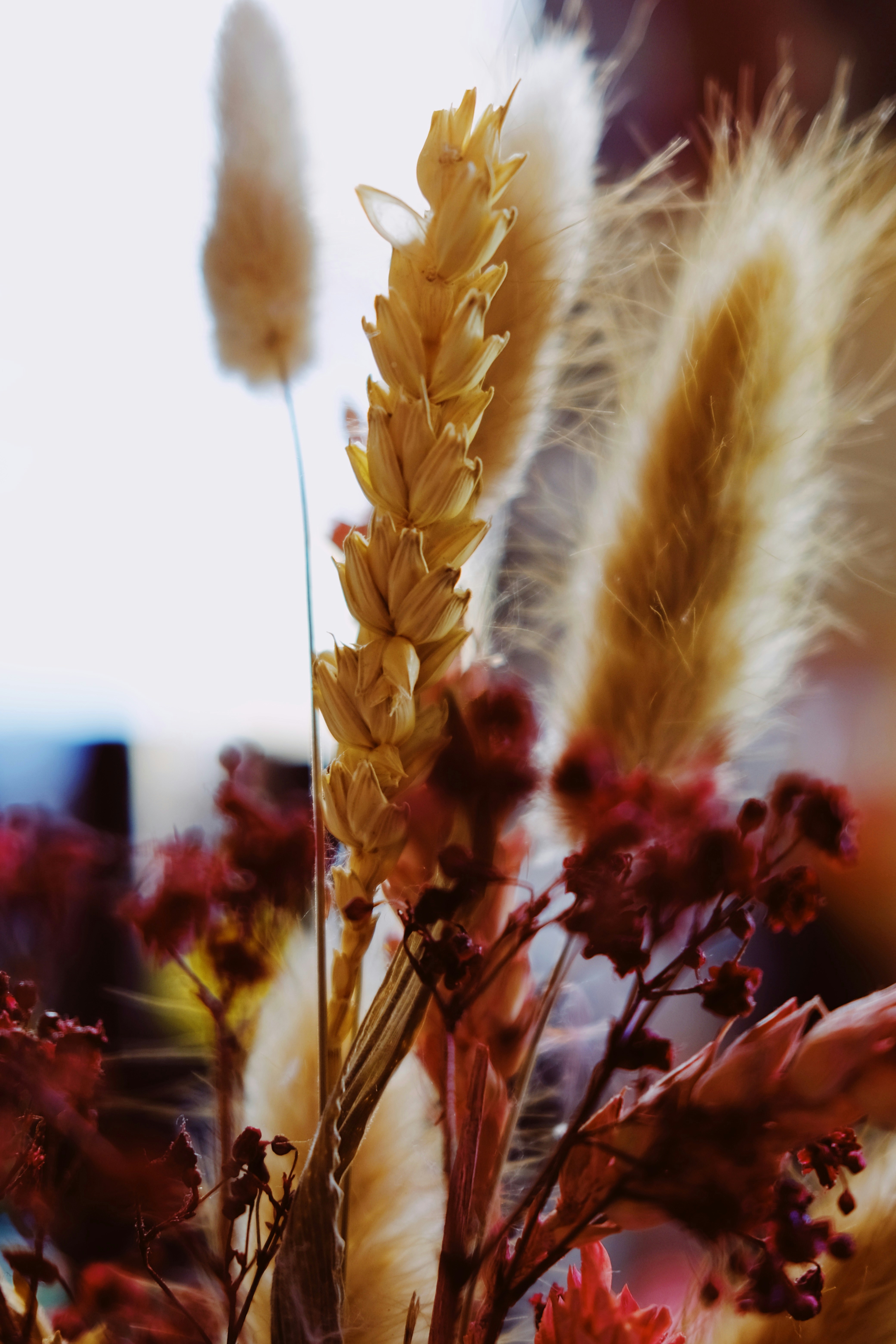 Photo by cherenkevich