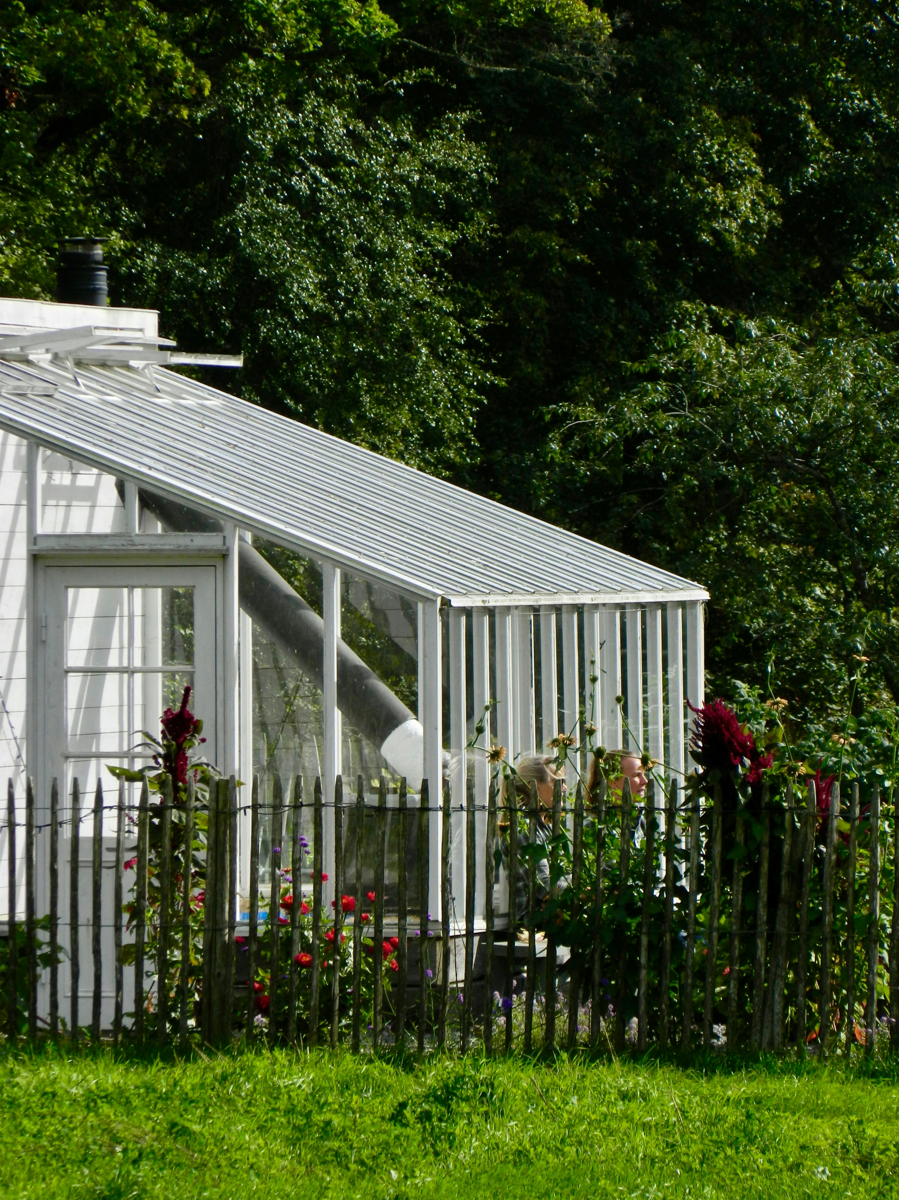 Photo by ezgideliklitas