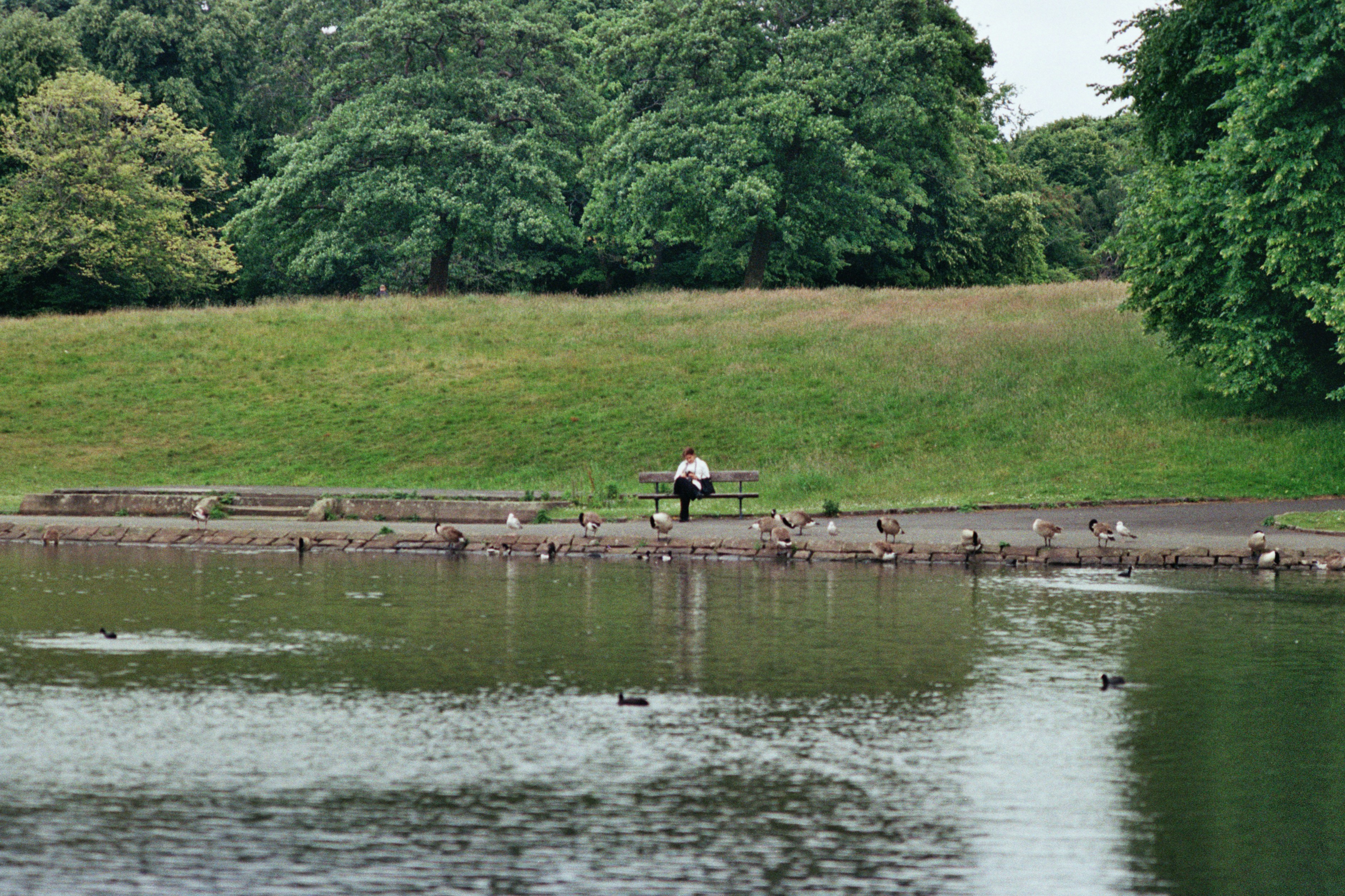 Mallard Junction Park