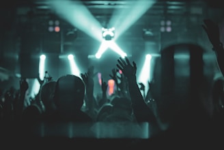 Crowd with hands raised at a concert with stage lights.