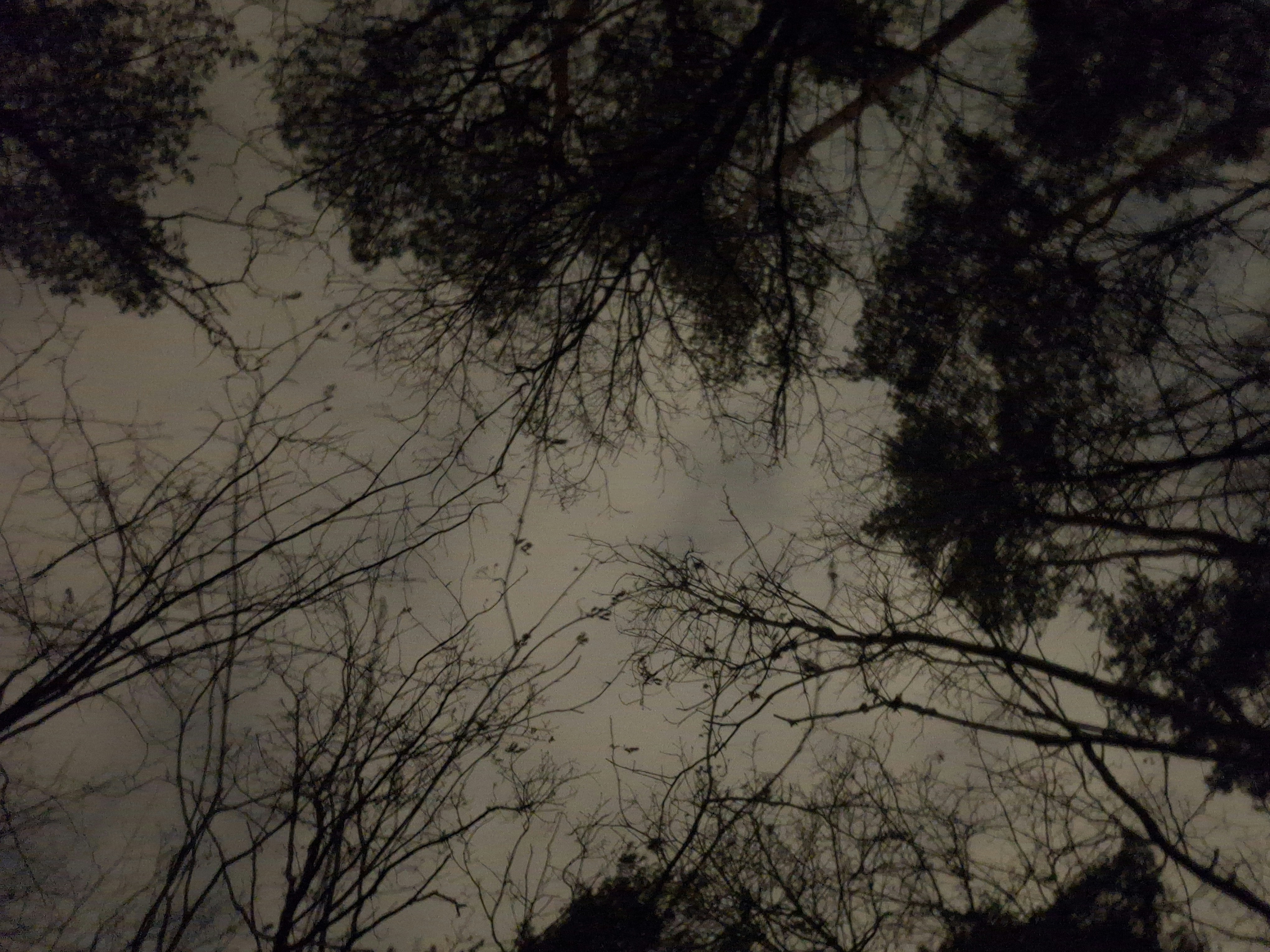 Sala luminosa en Mokotów