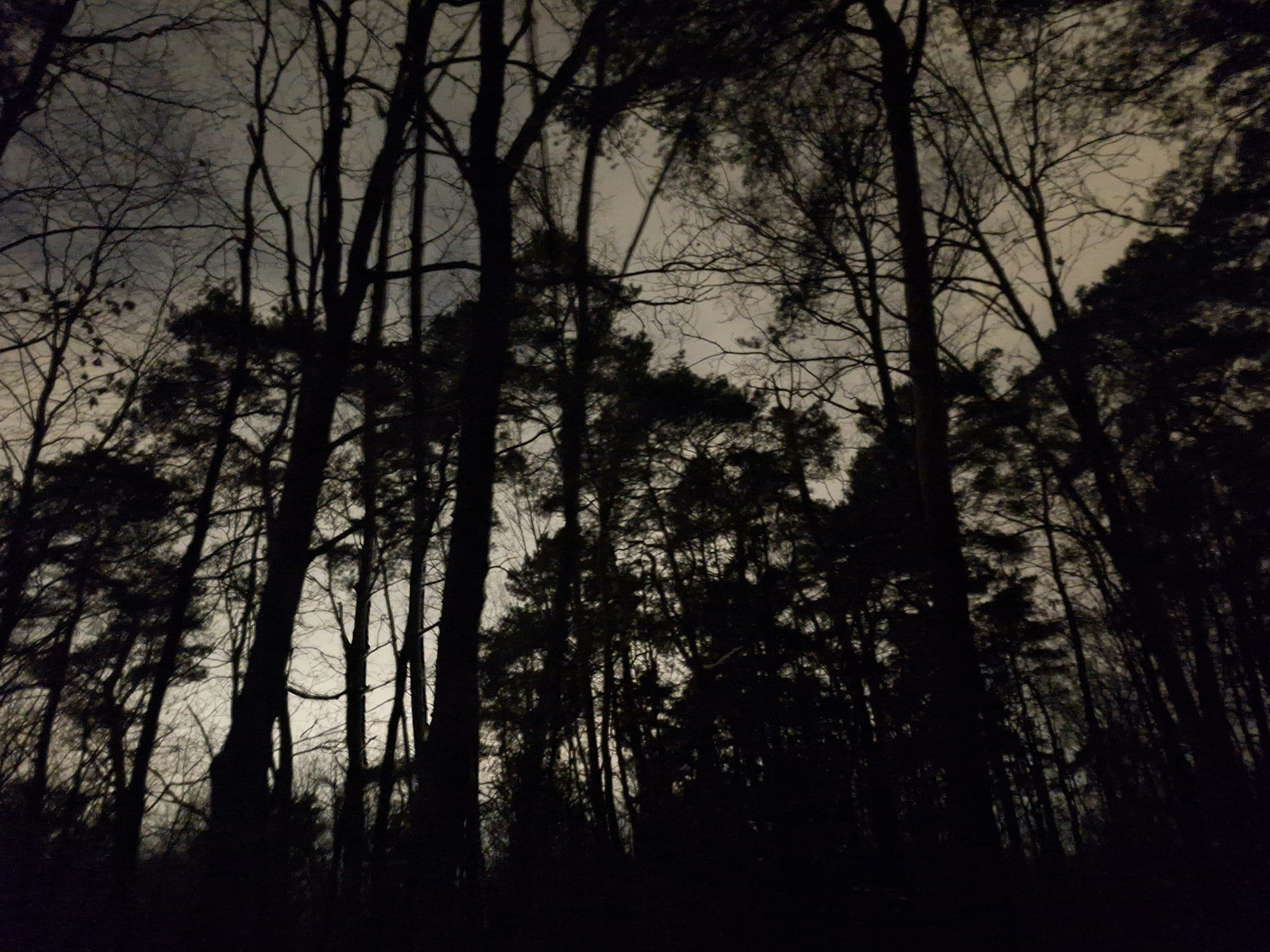 Habitación moderna en el Centro