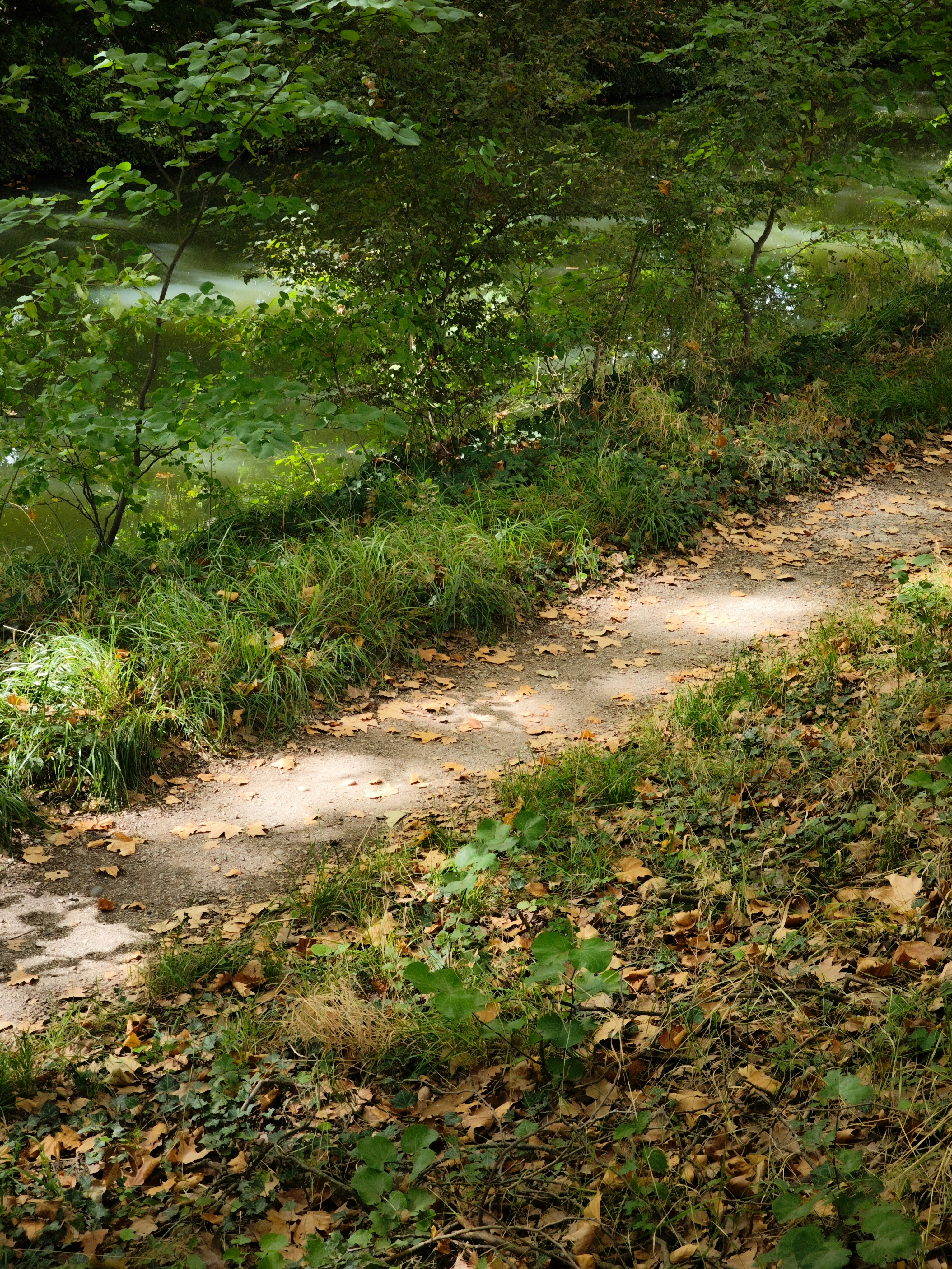 Photo by filipenobre