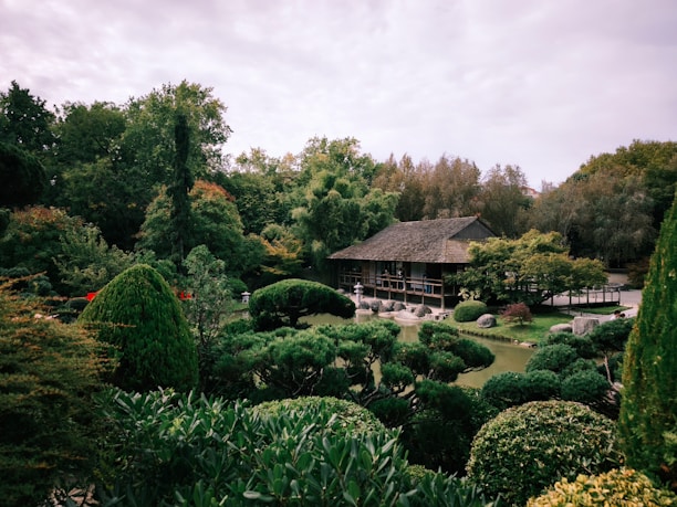 A traditional japanese garden with a wooden house.