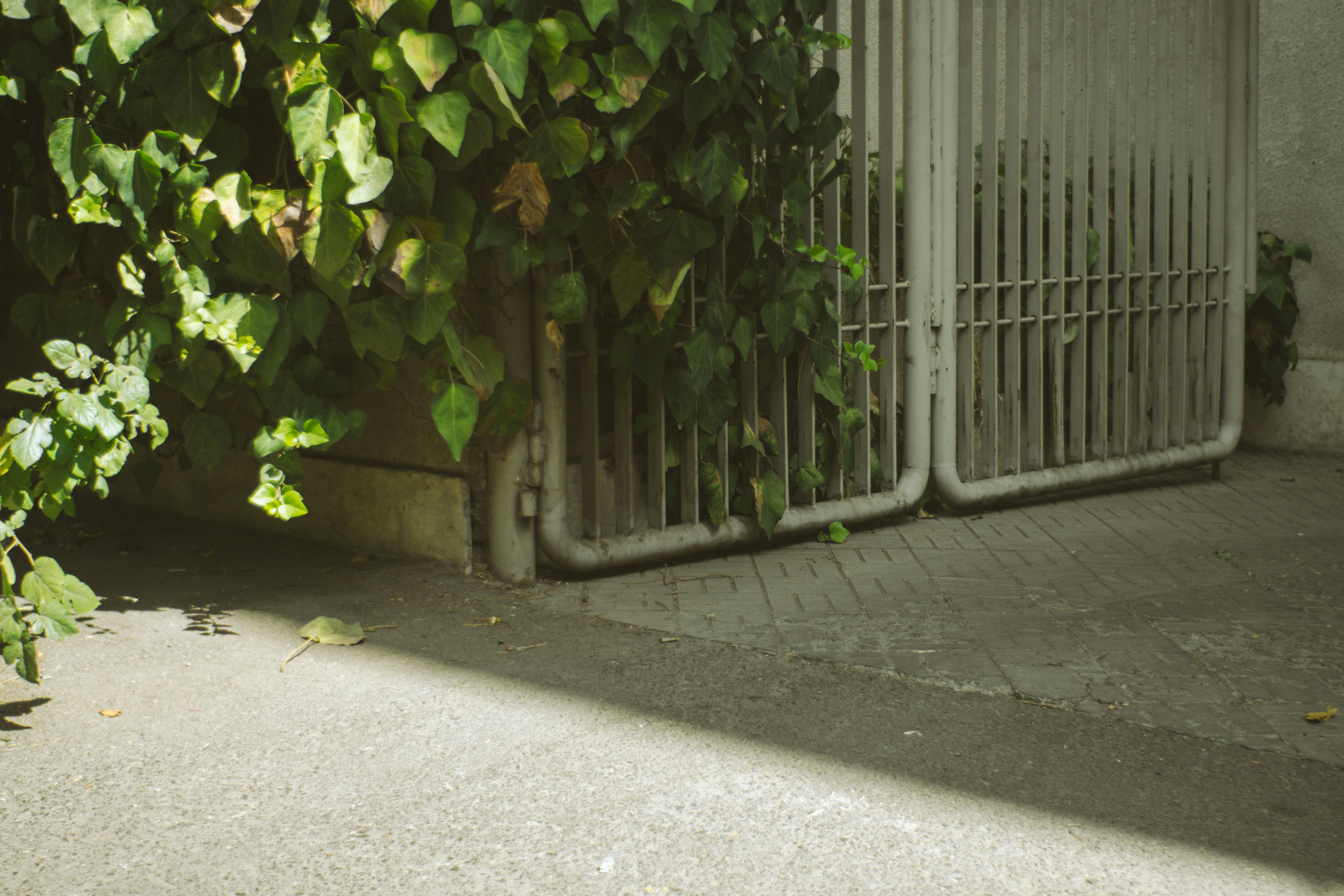 Photo by mdrezajalali