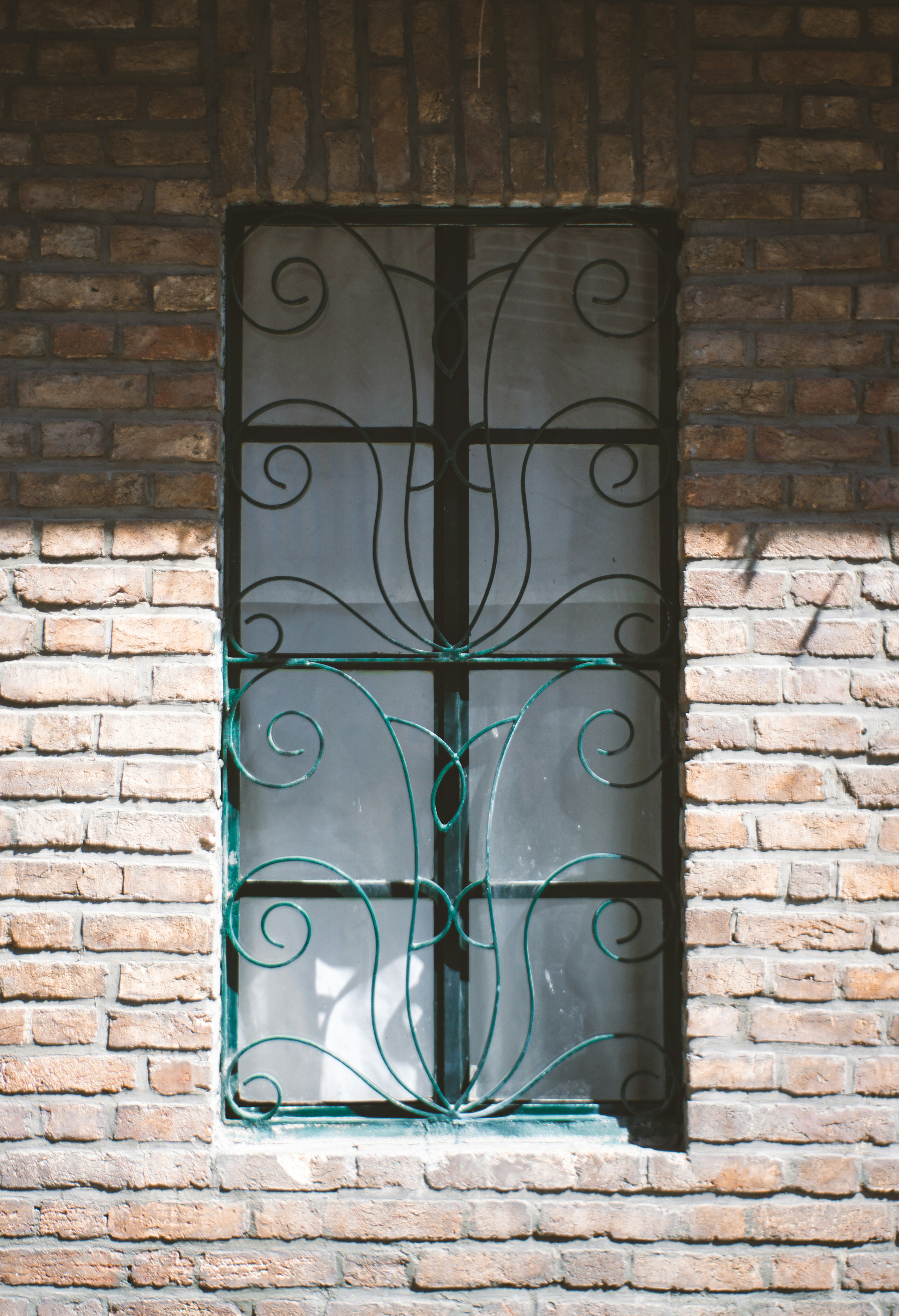 Photo by mdrezajalali