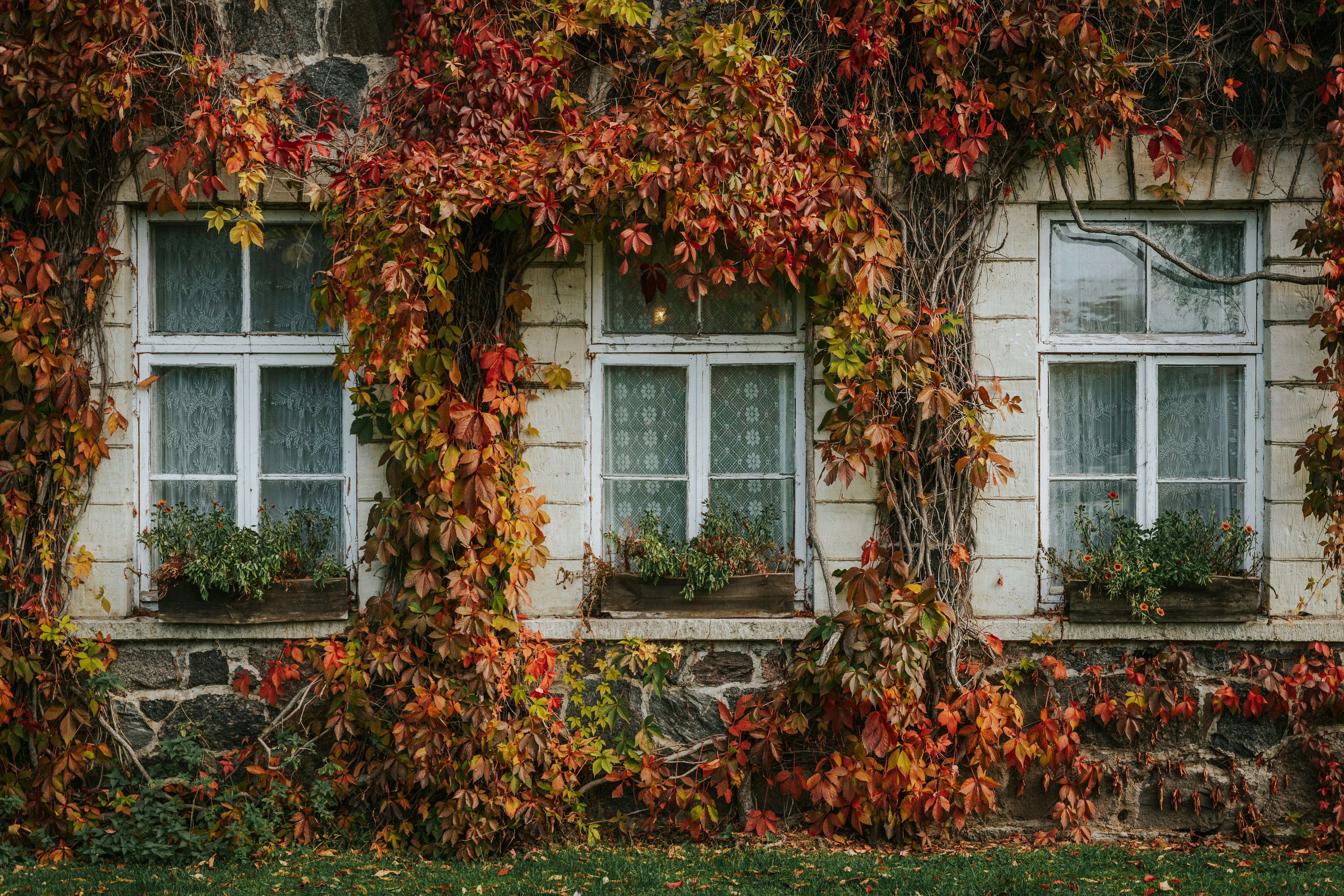 Exploring Child Treatment Techniques: Exactly How Therapists Assist Children Get Over Difficulties