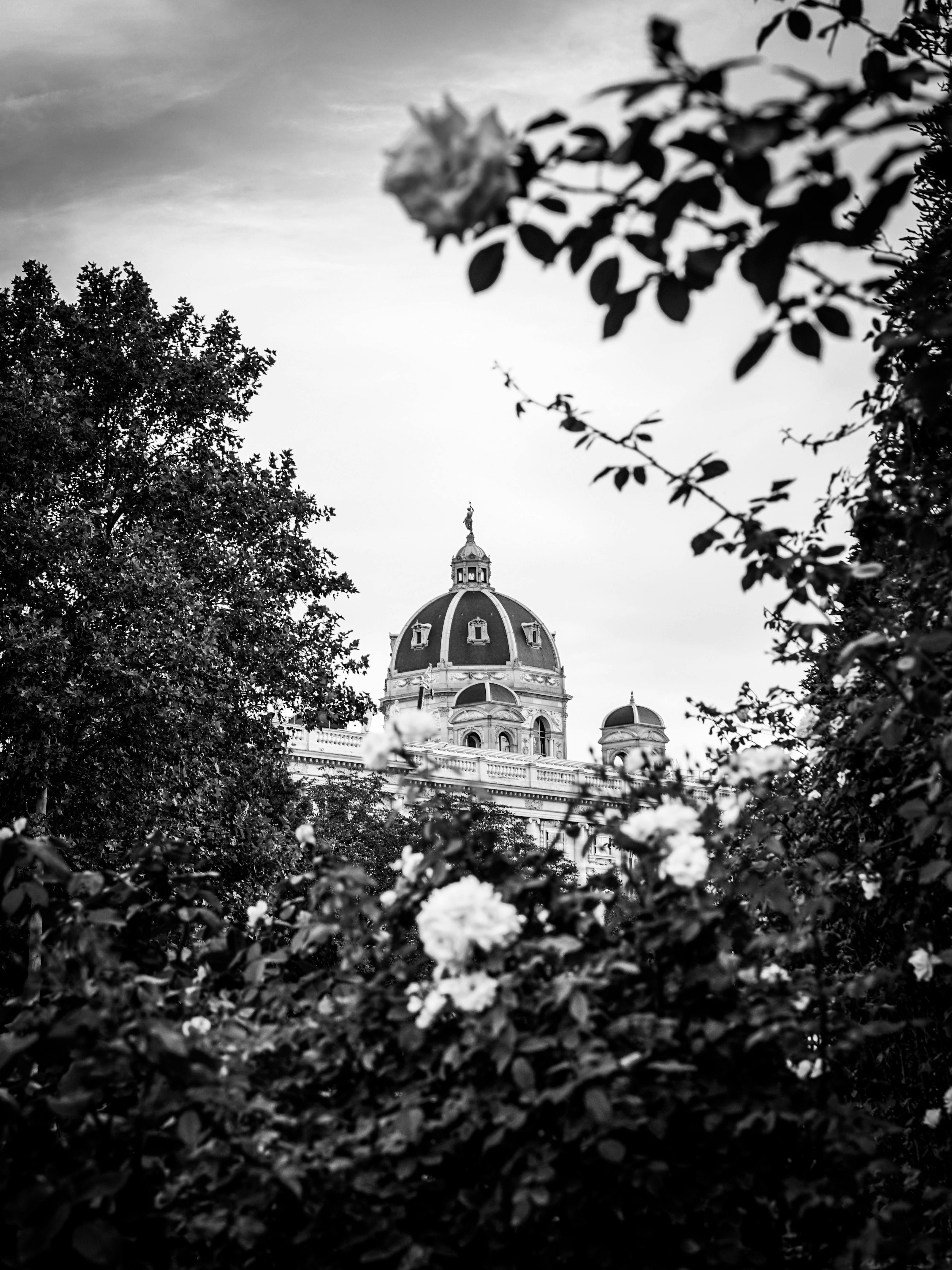 Photo by eneamichelucci