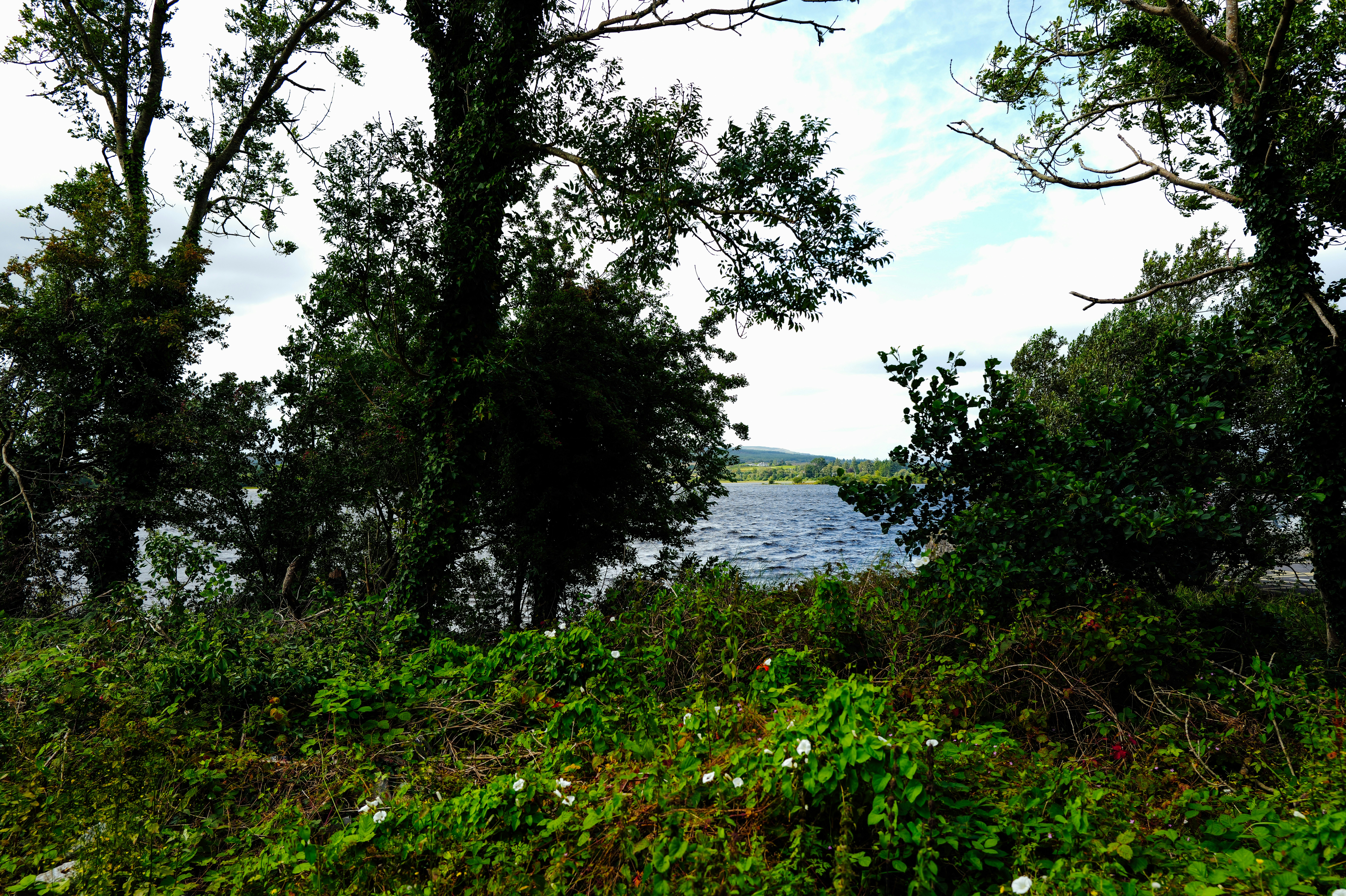 Photo by adrienolichon