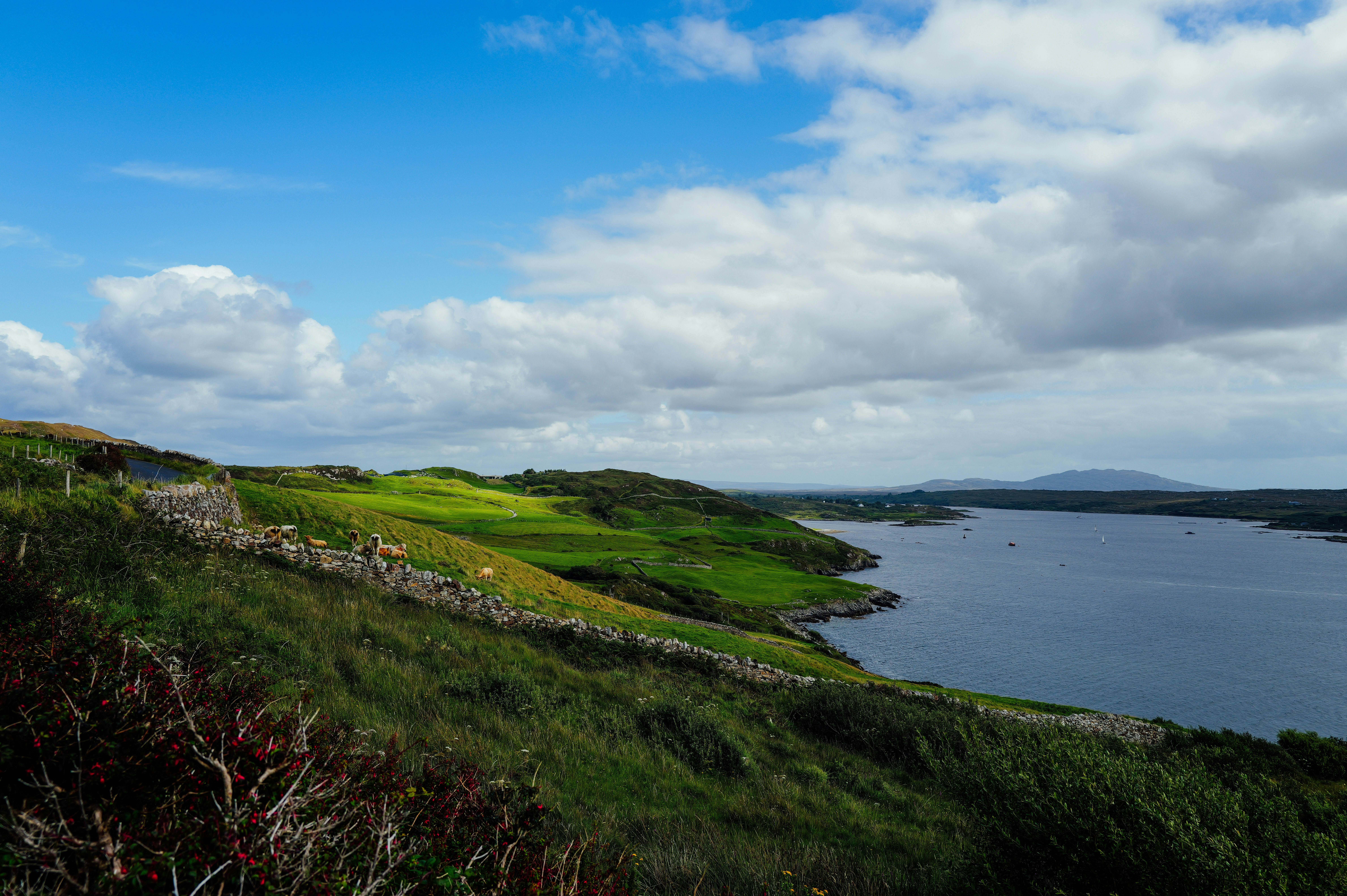Breathtaking landscape of an Irish golf course