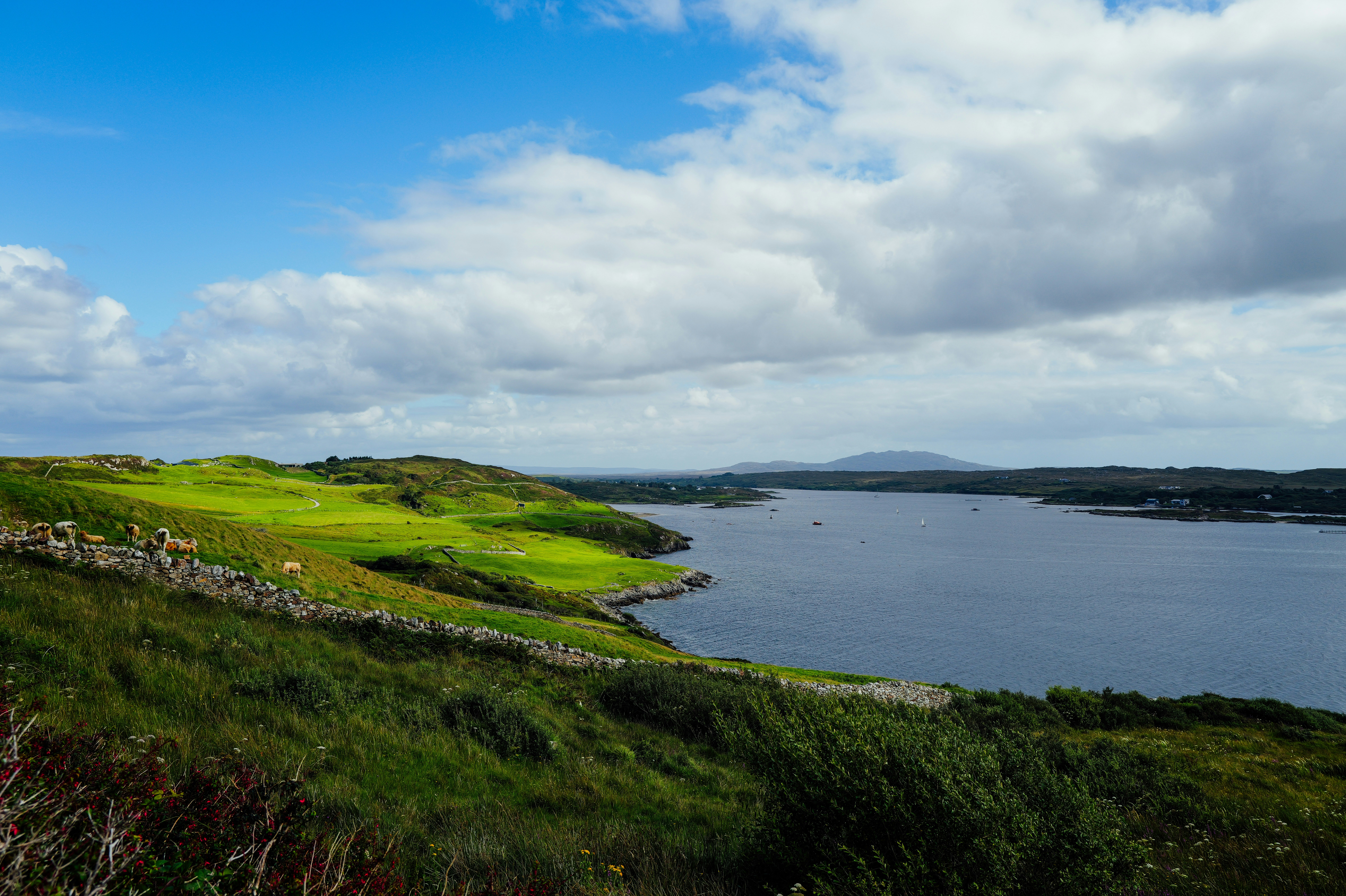 Photo by adrienolichon