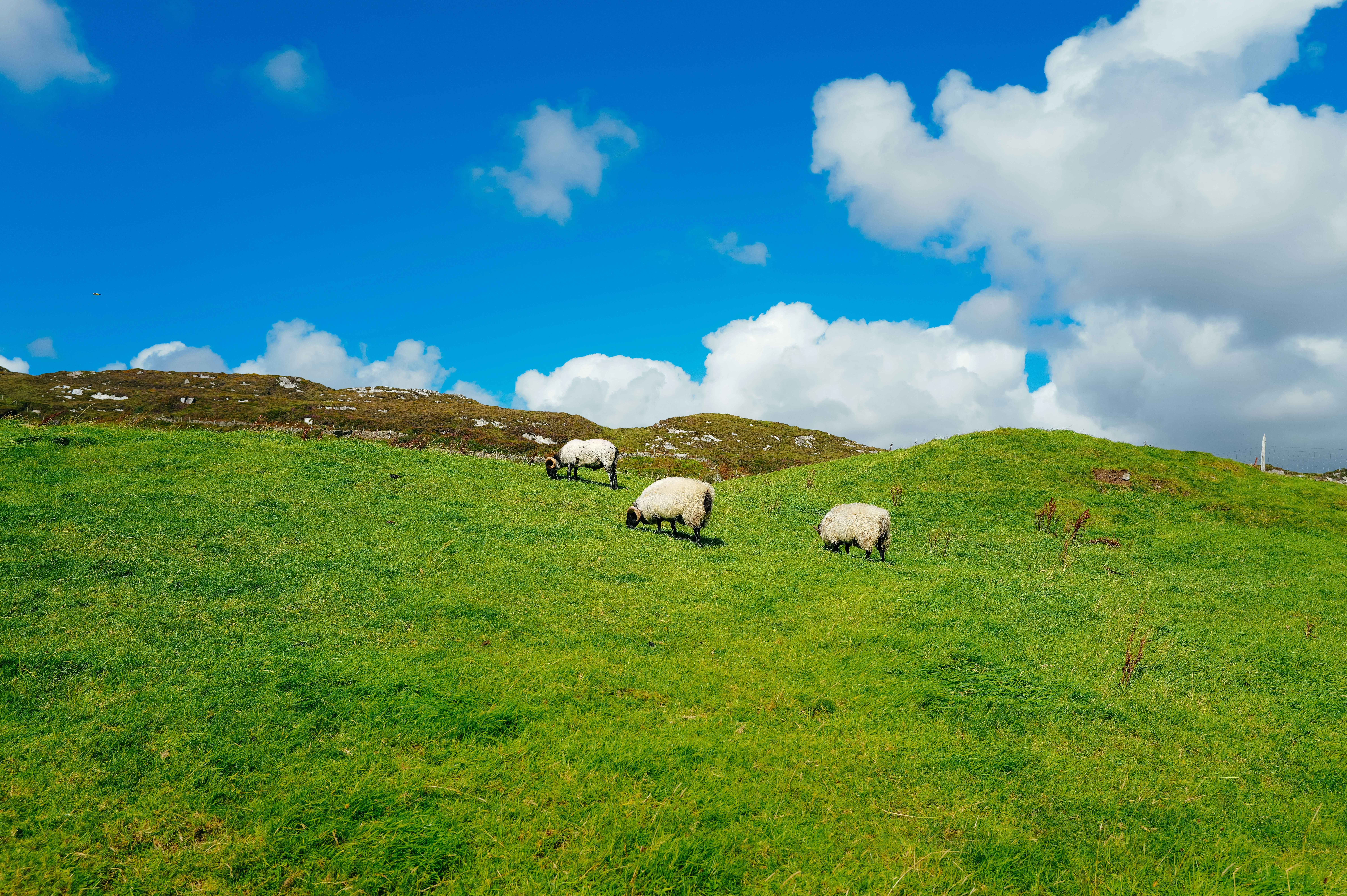 Photo by adrienolichon