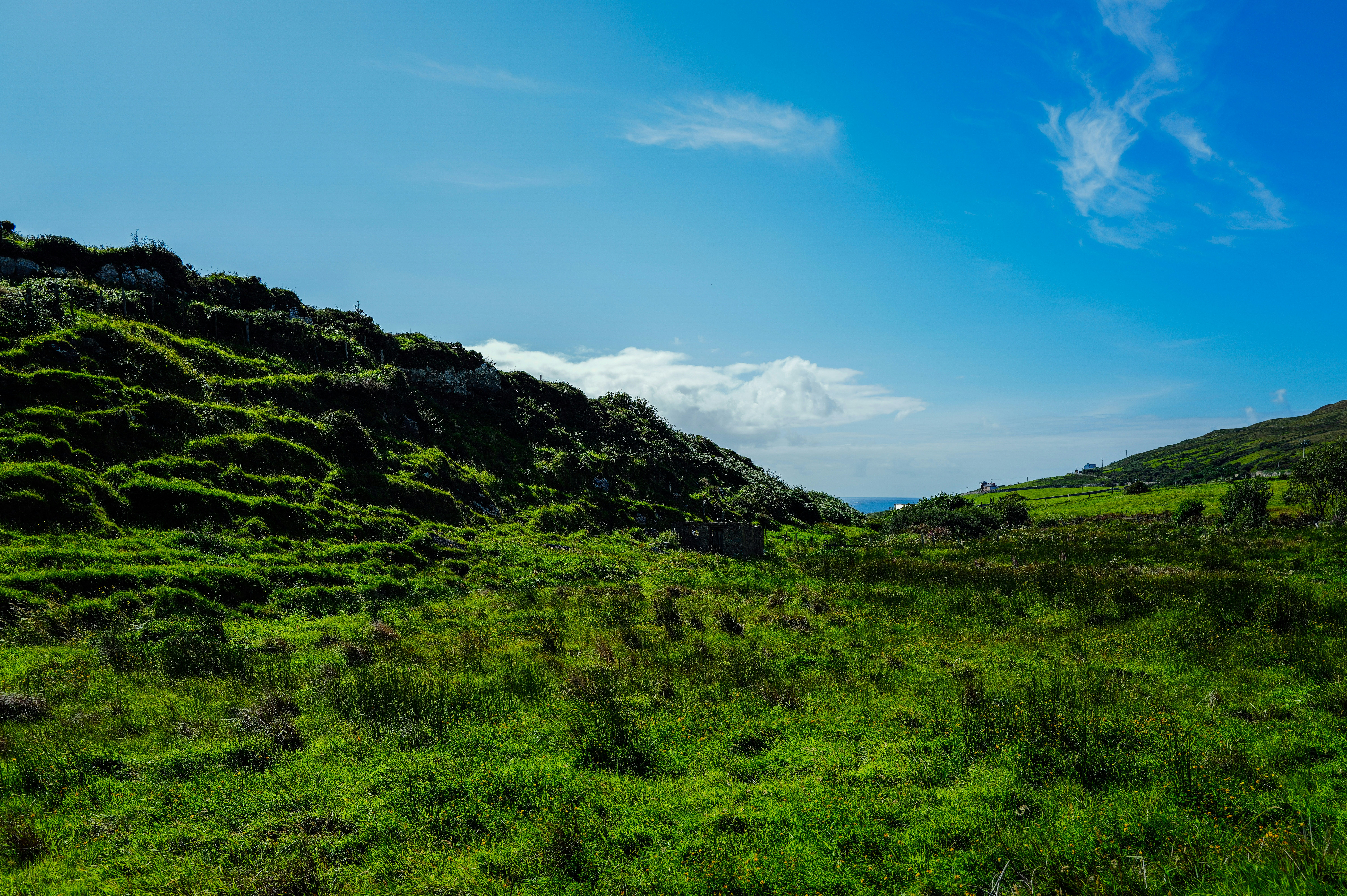 Photo by adrienolichon