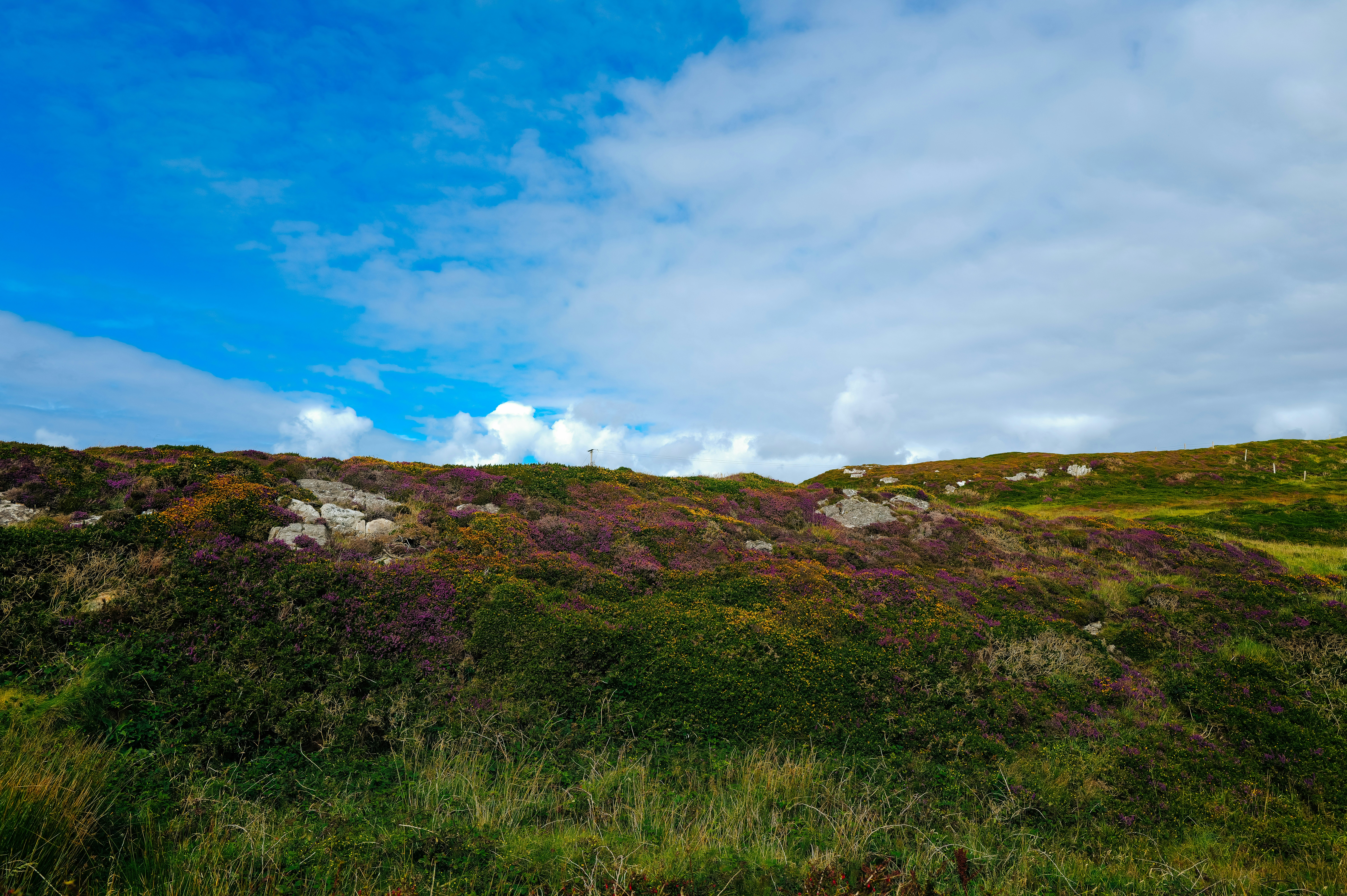 Photo by adrienolichon