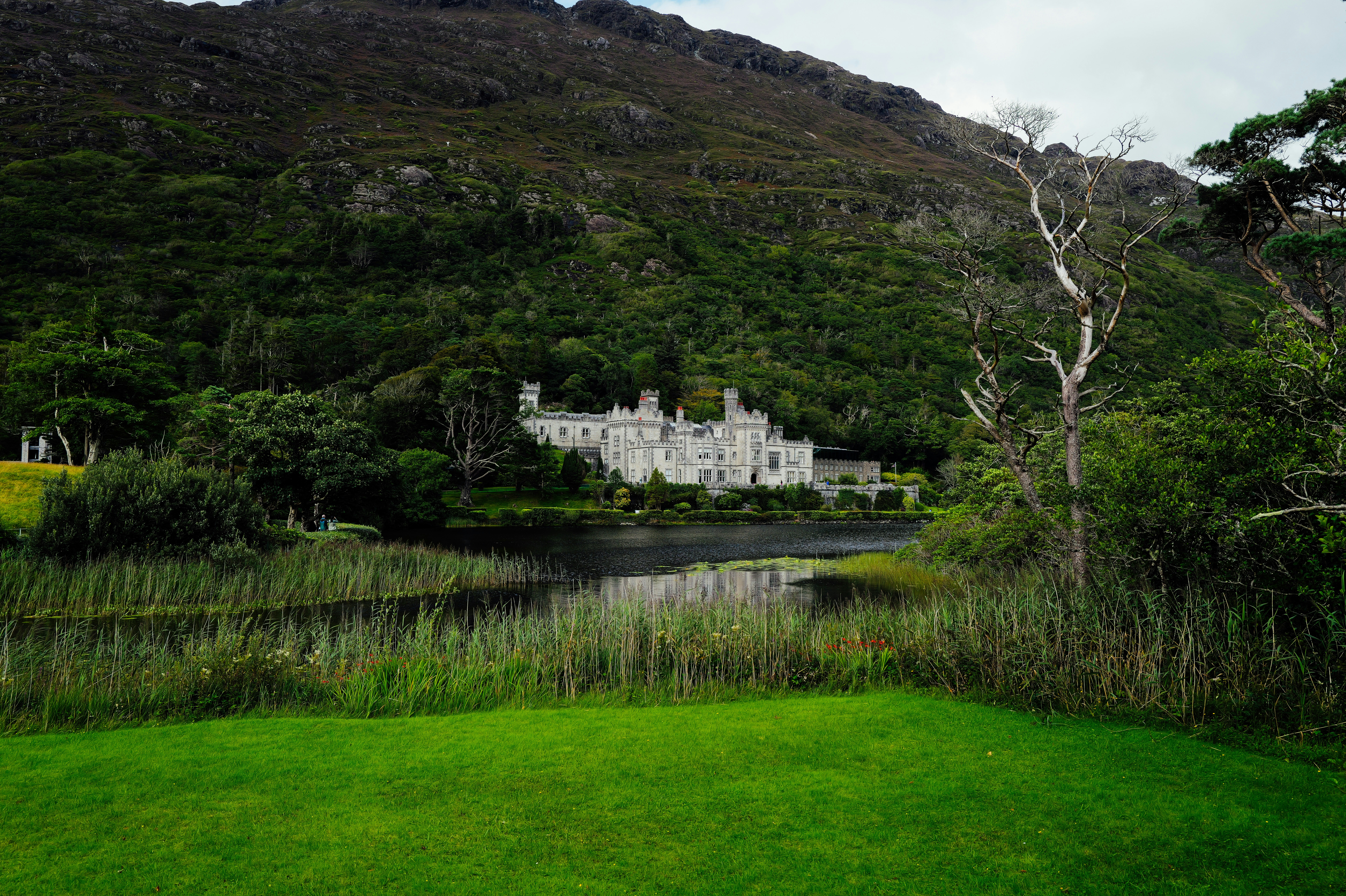 Photo by adrienolichon