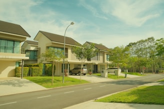 Modern houses on a suburban street with trees.