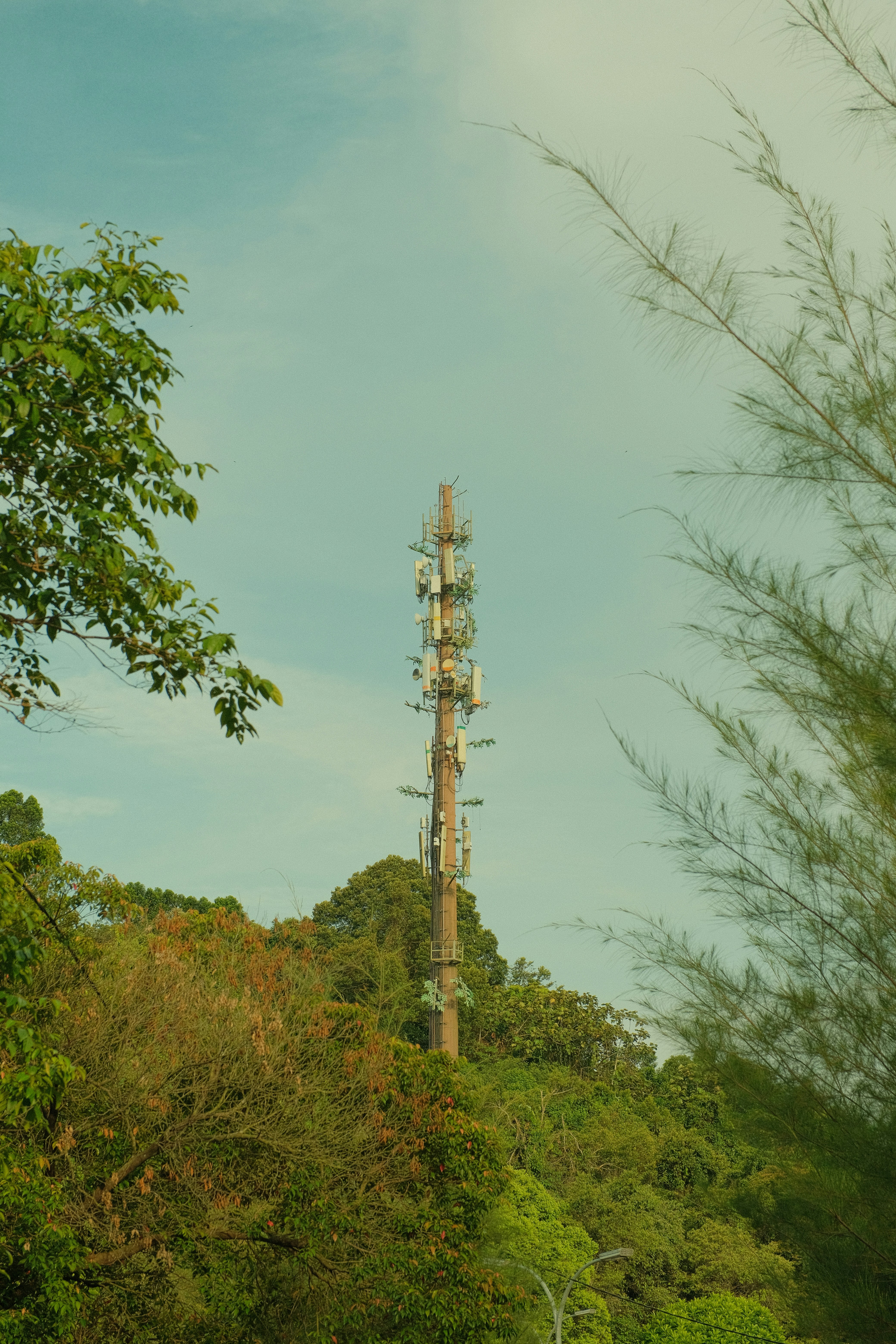 Digital Infrastructure