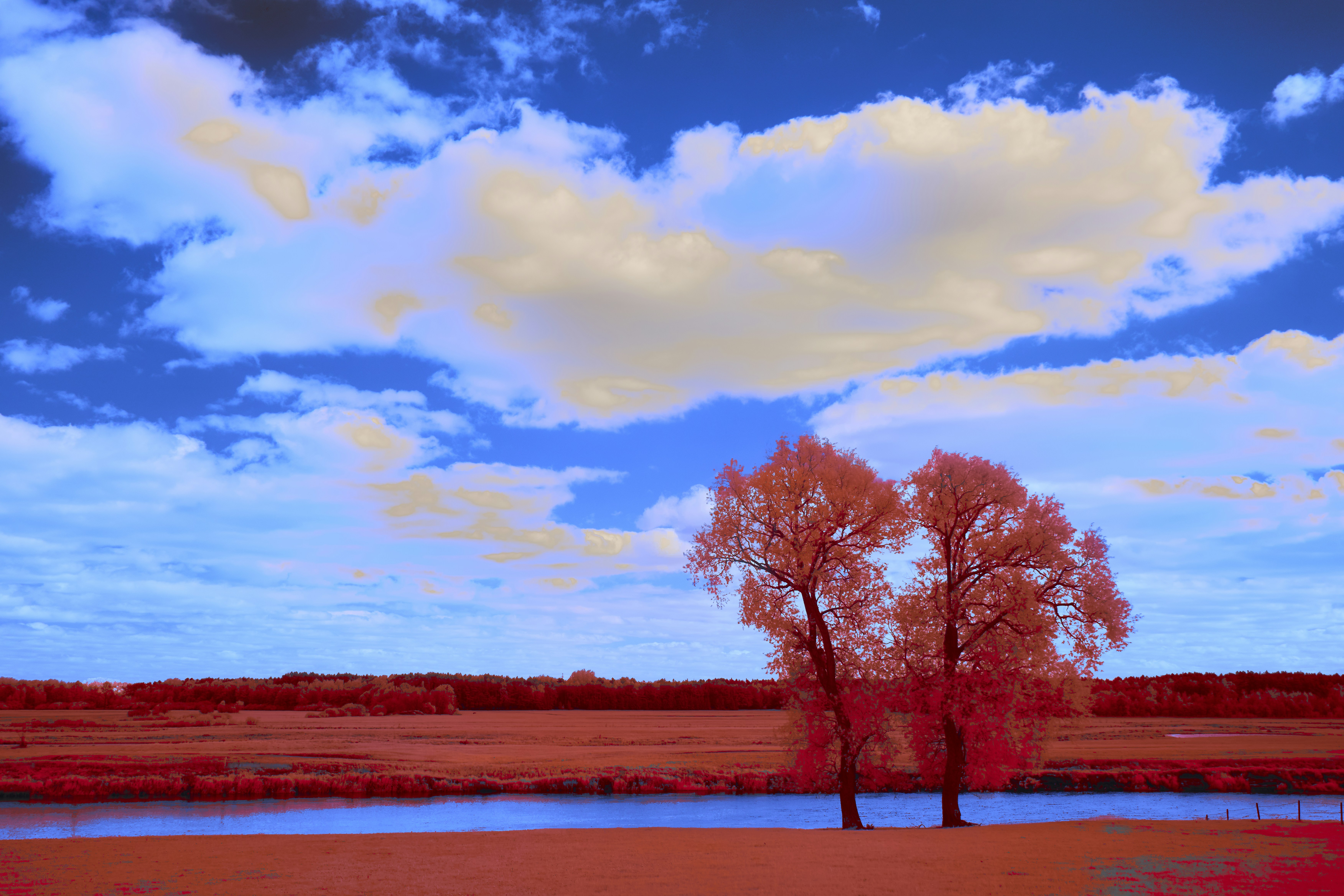 Photo by wolfgang_hasselmann