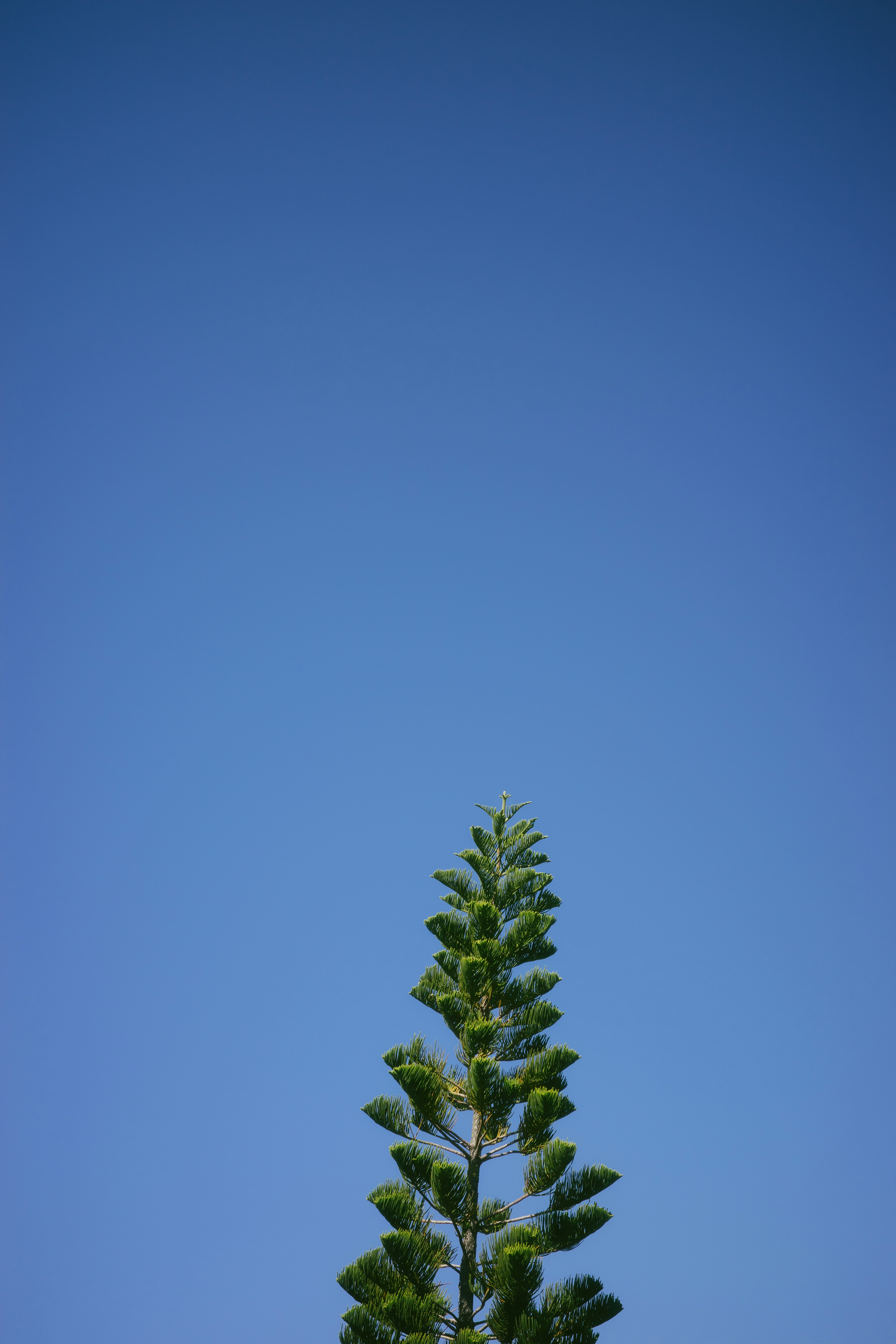 Photo by philipphubert