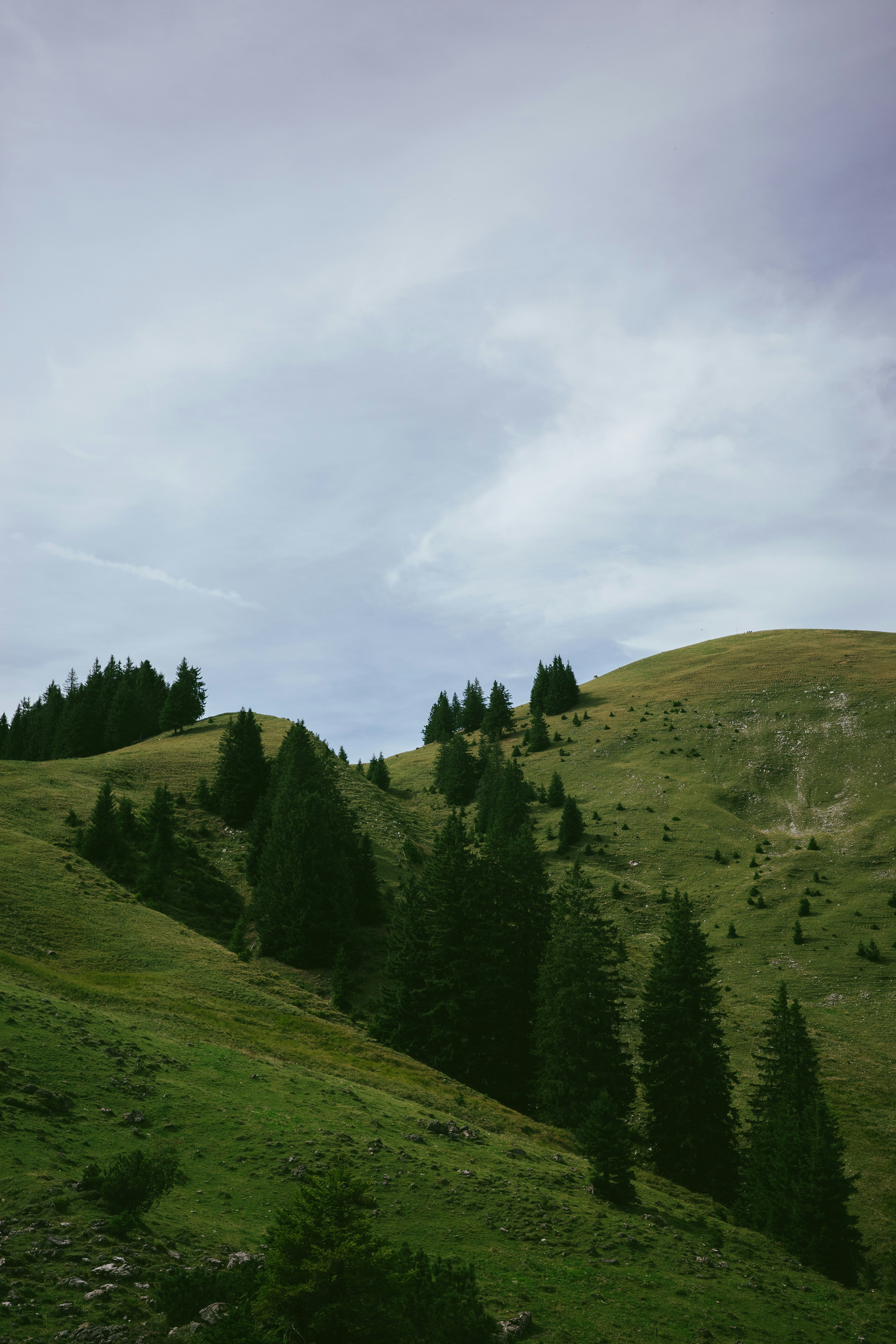 Photo by philipphubert